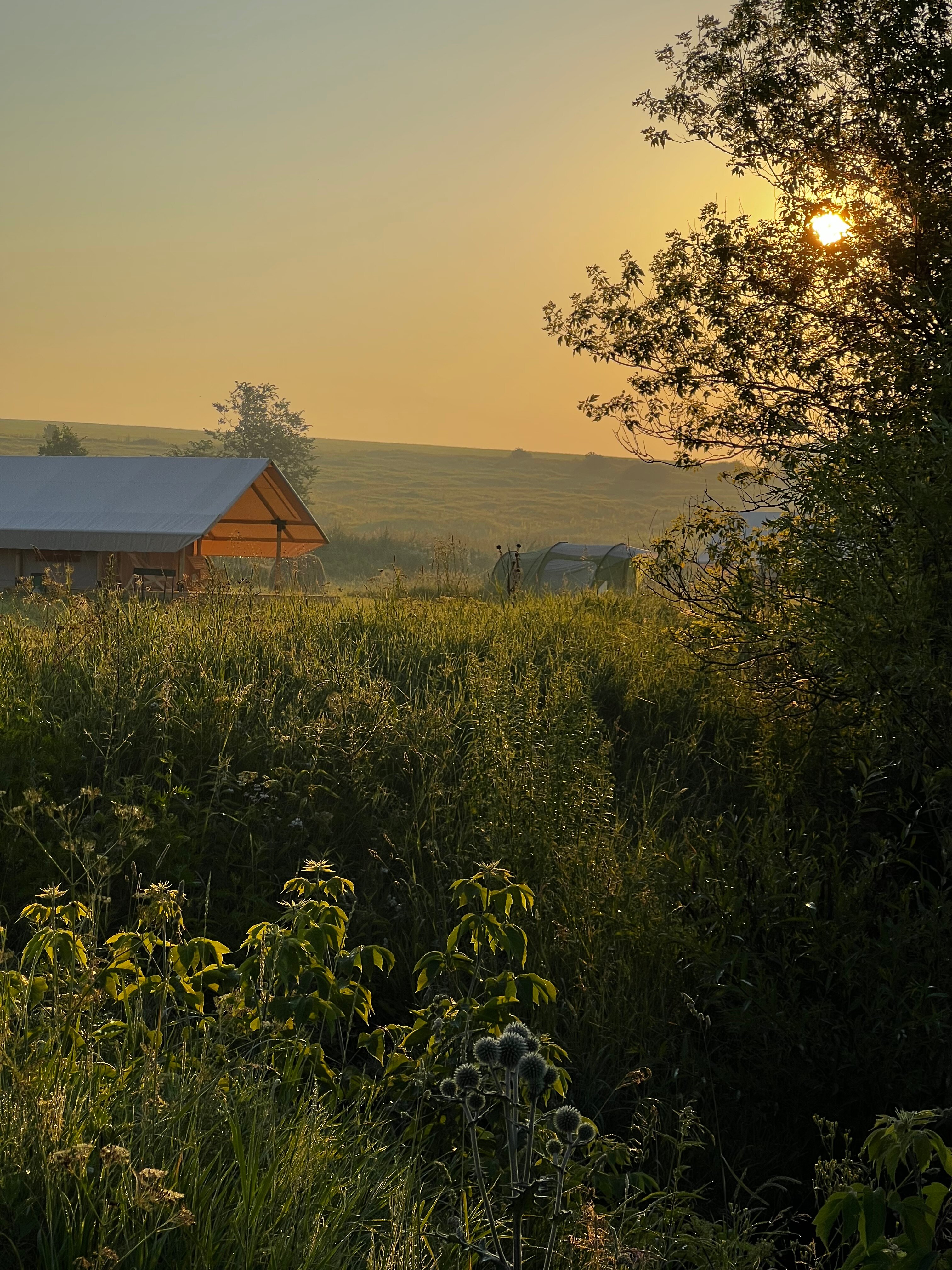 Фото Соты & Варенье