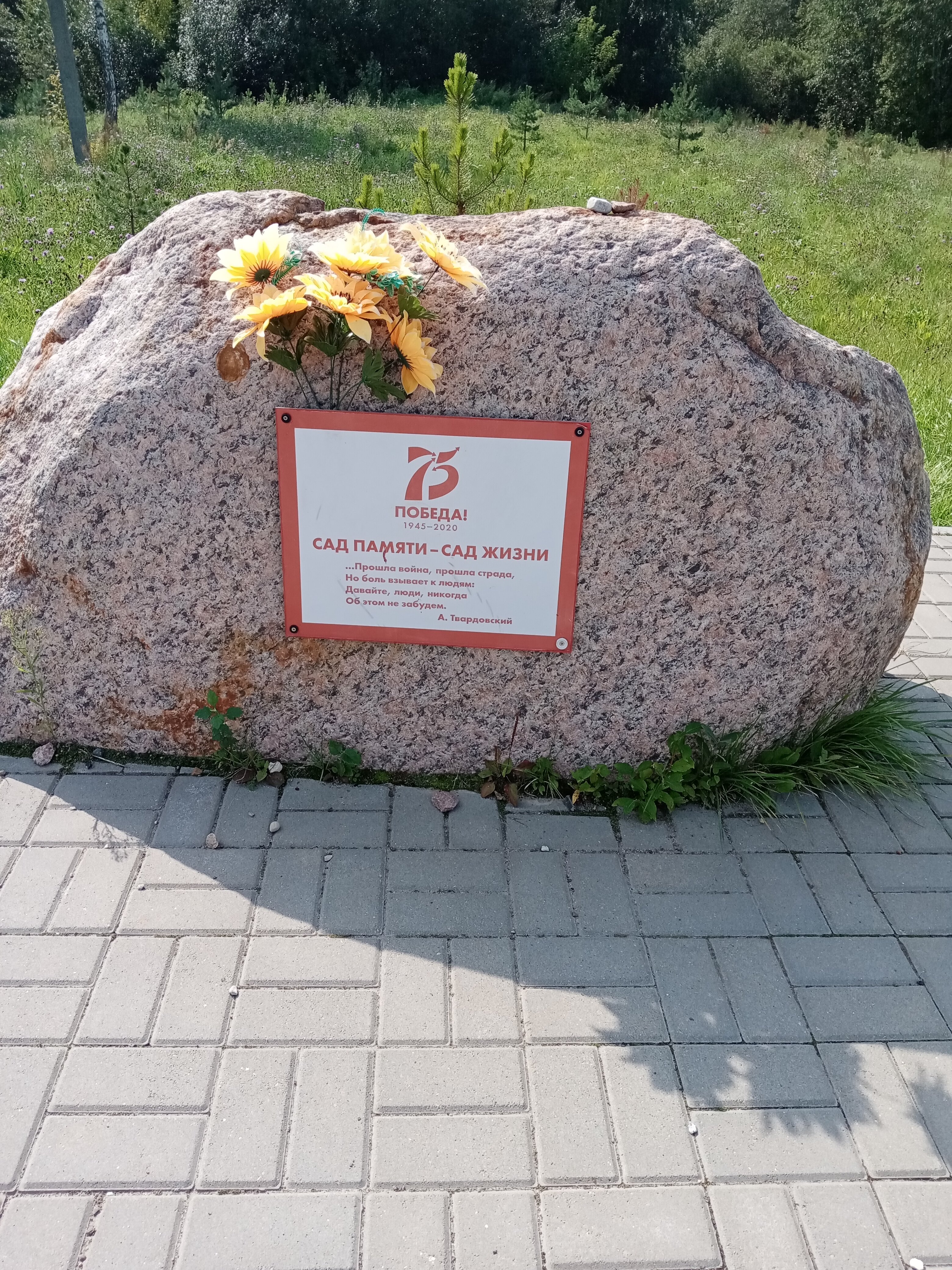 Фото Красный бор