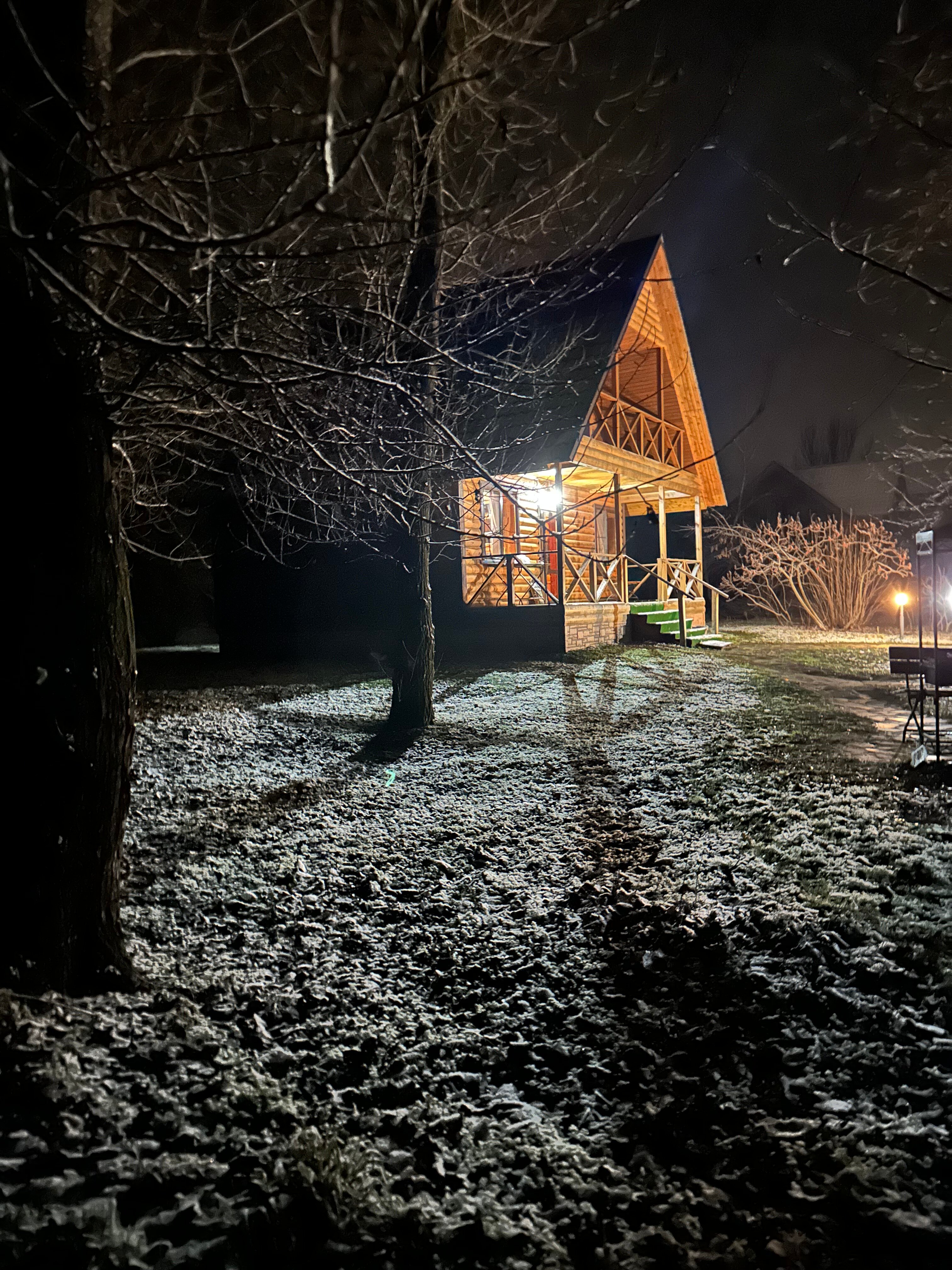 Фото Лесная