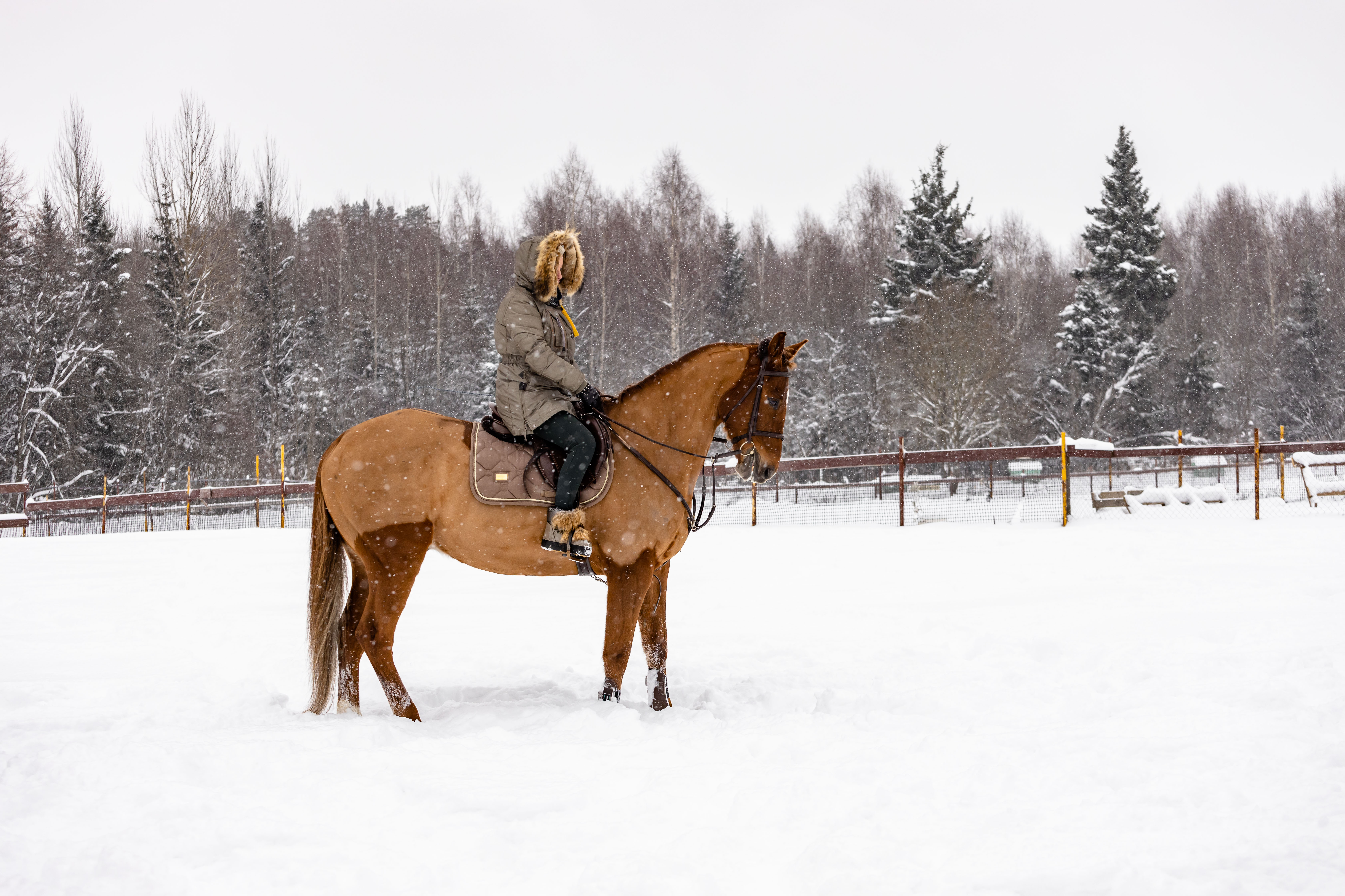 Фото Усадьба Четыре Сезона