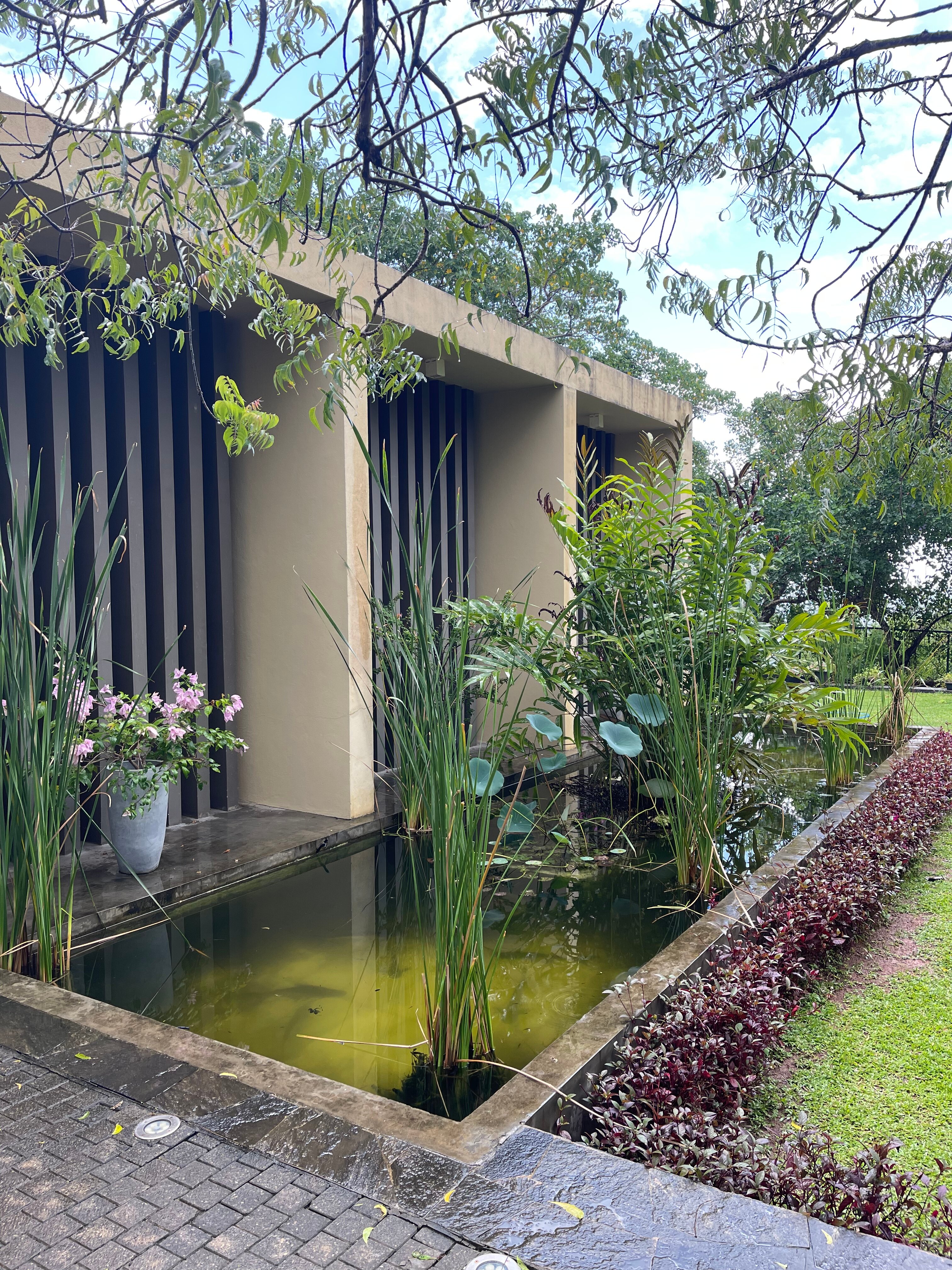 Фото Sooriya Resort & SPA