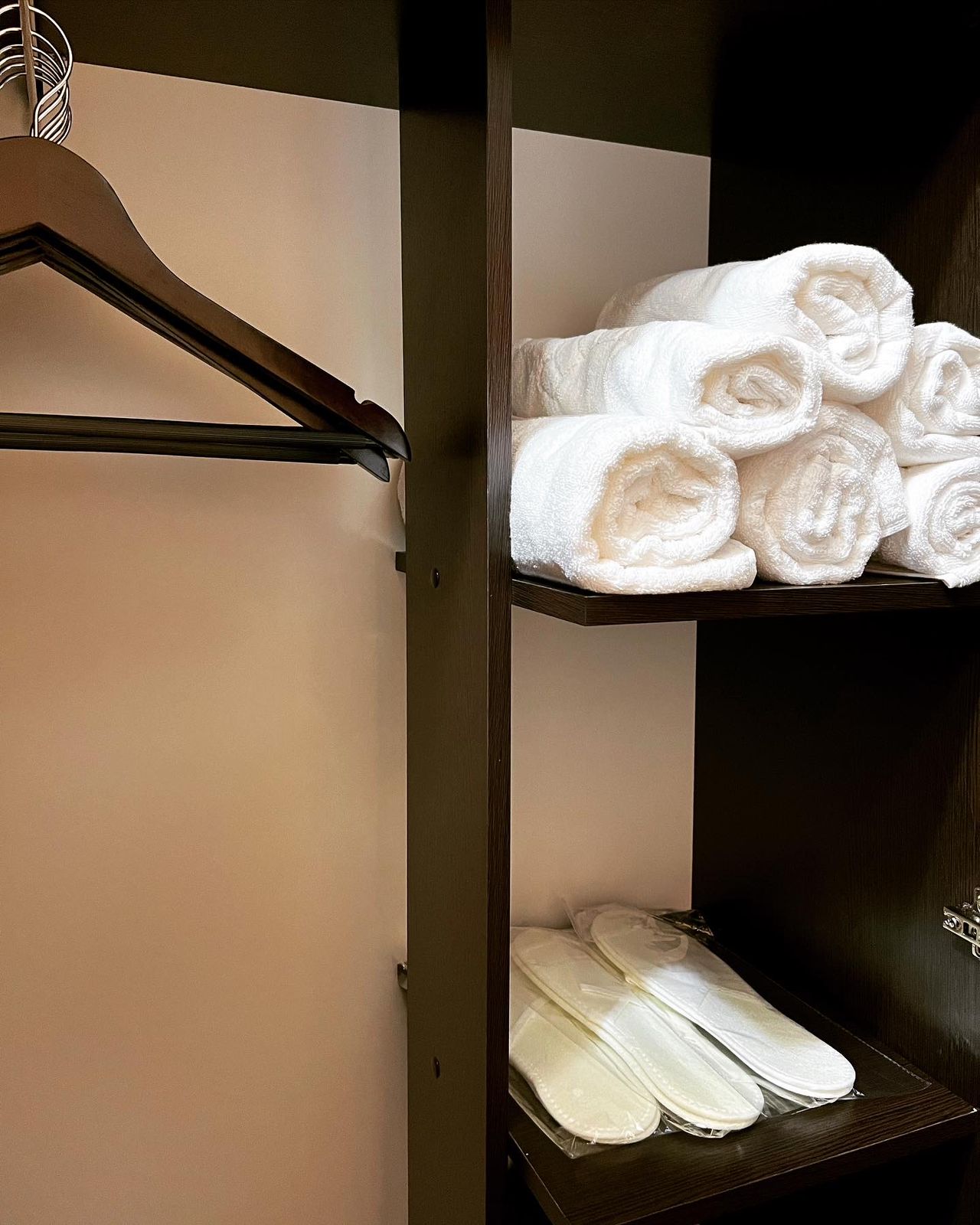 Фото Дикая Лошадь