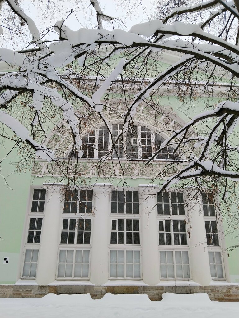 Landmark, attraction Большая оранжерея, Pushkin, photo