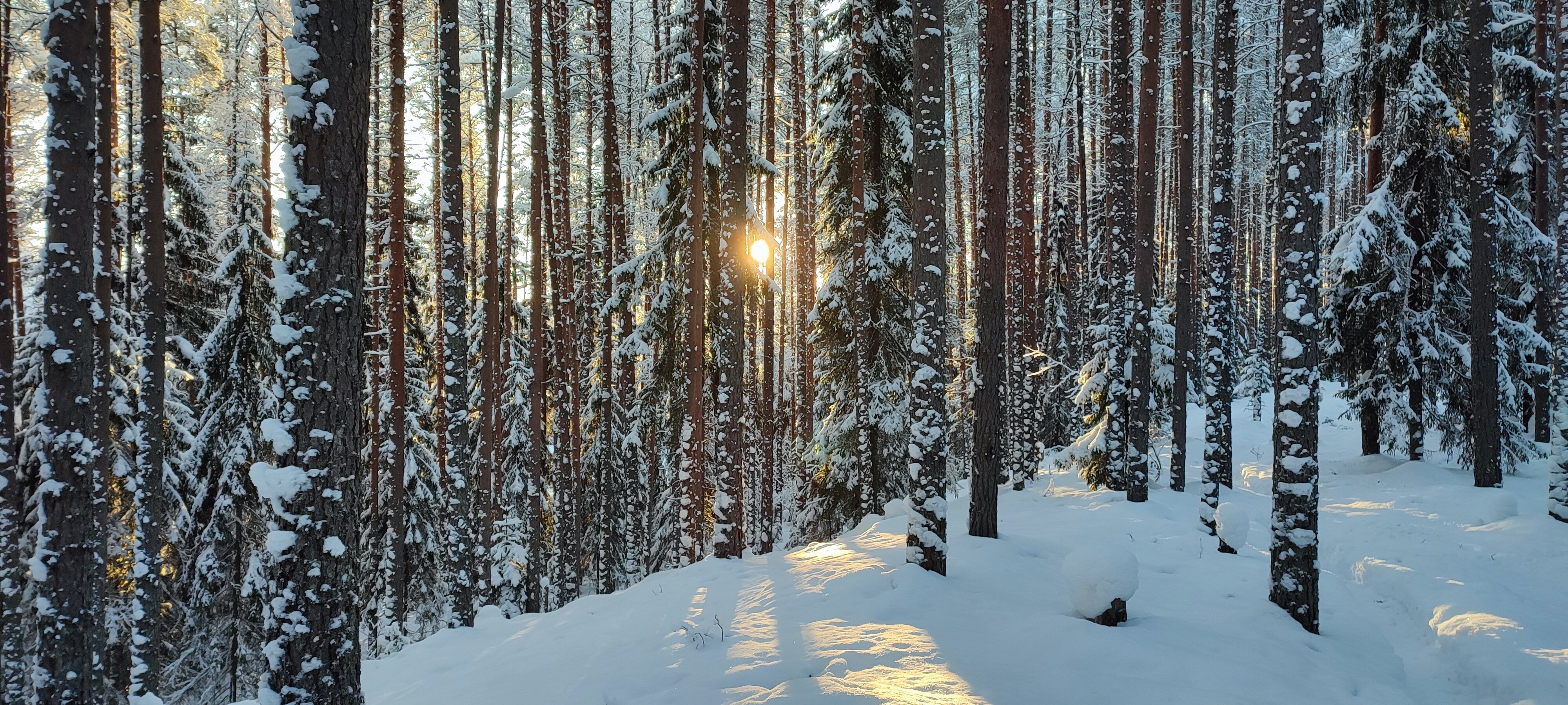 Фото Ёкиранта