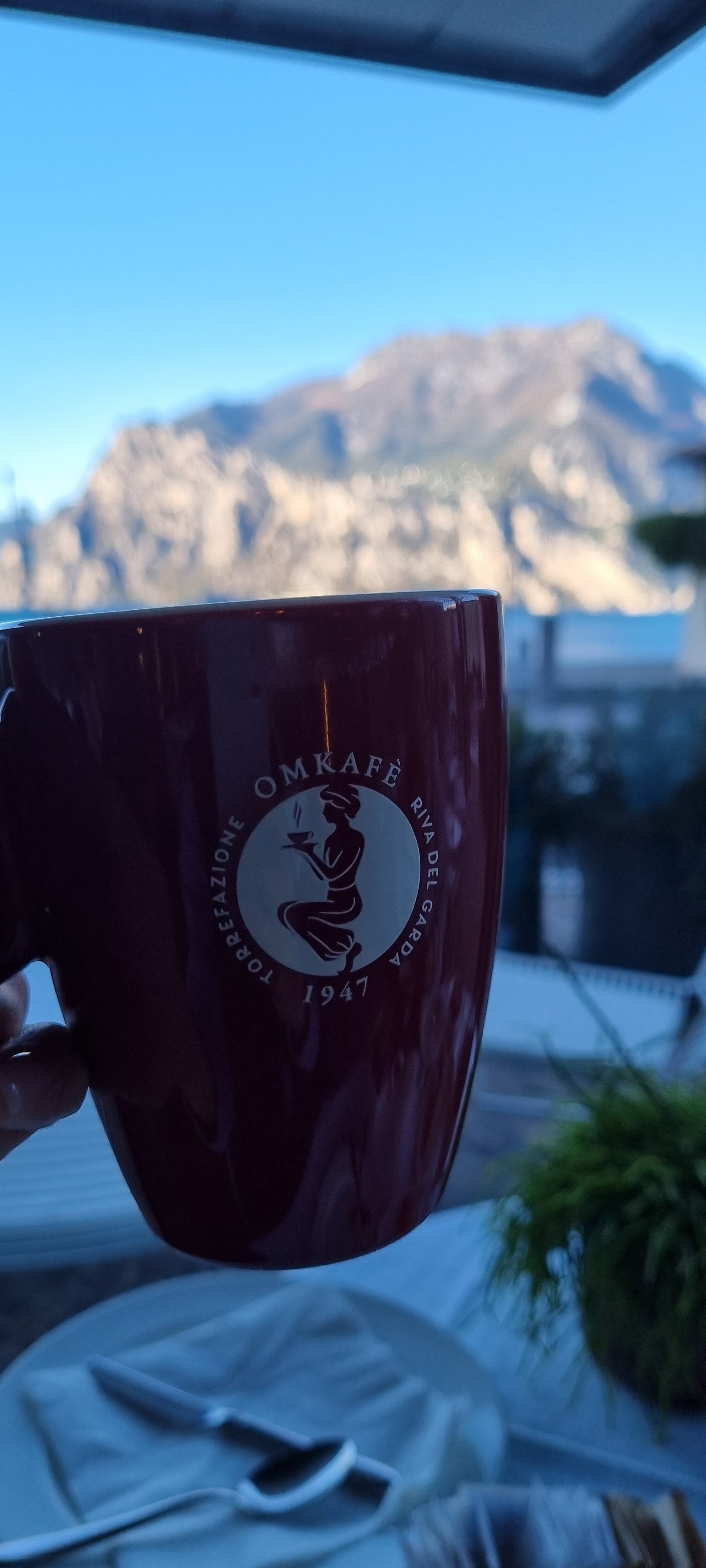 Фото Hotel Lago di Garda