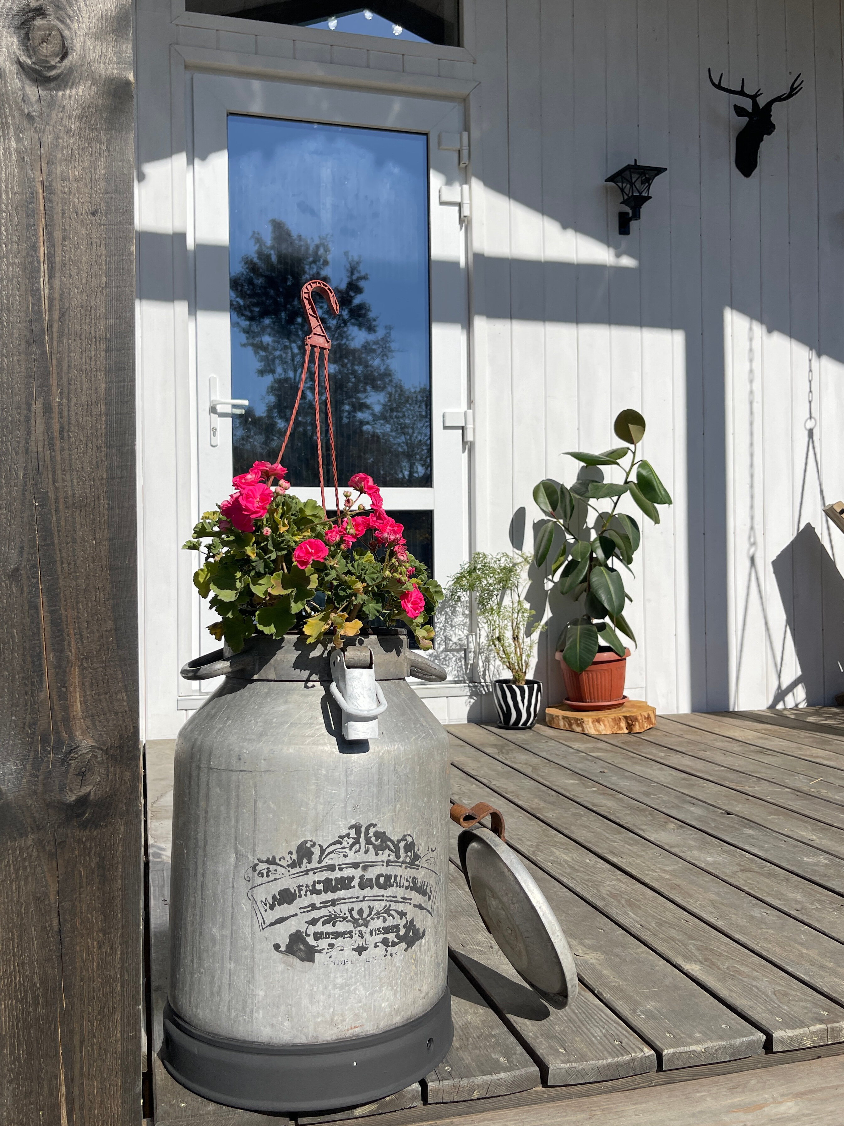 Фото Секвойя