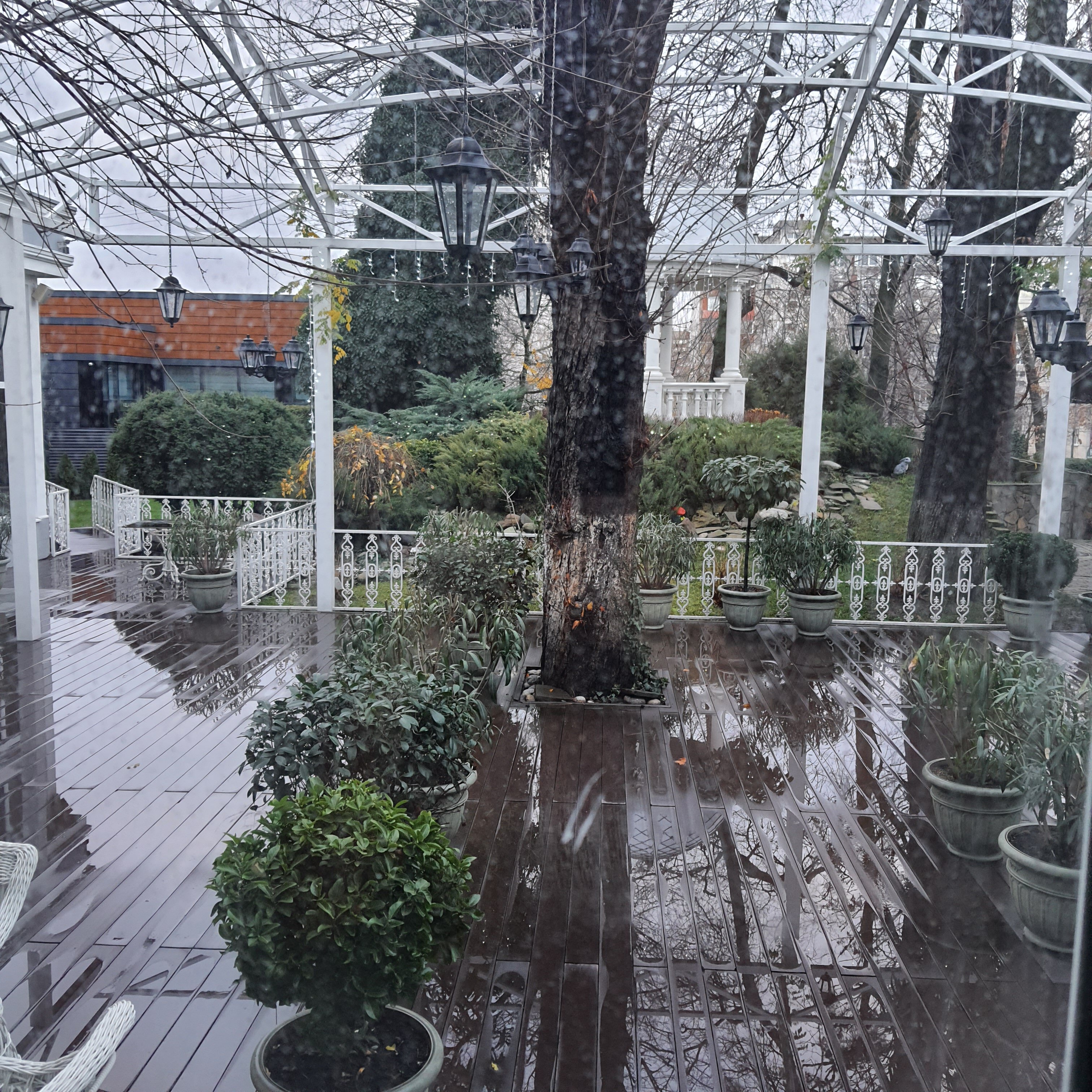 Фото Престиж