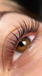 BrowSvet_lashes (Mira Street, 24к1), eyebrow and eyelash salon