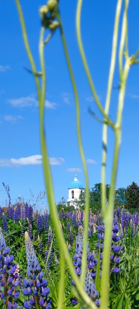 Orthodox church Church of the Intercession of the Most Holy Theotokos, Moscow and Moscow Oblast, photo