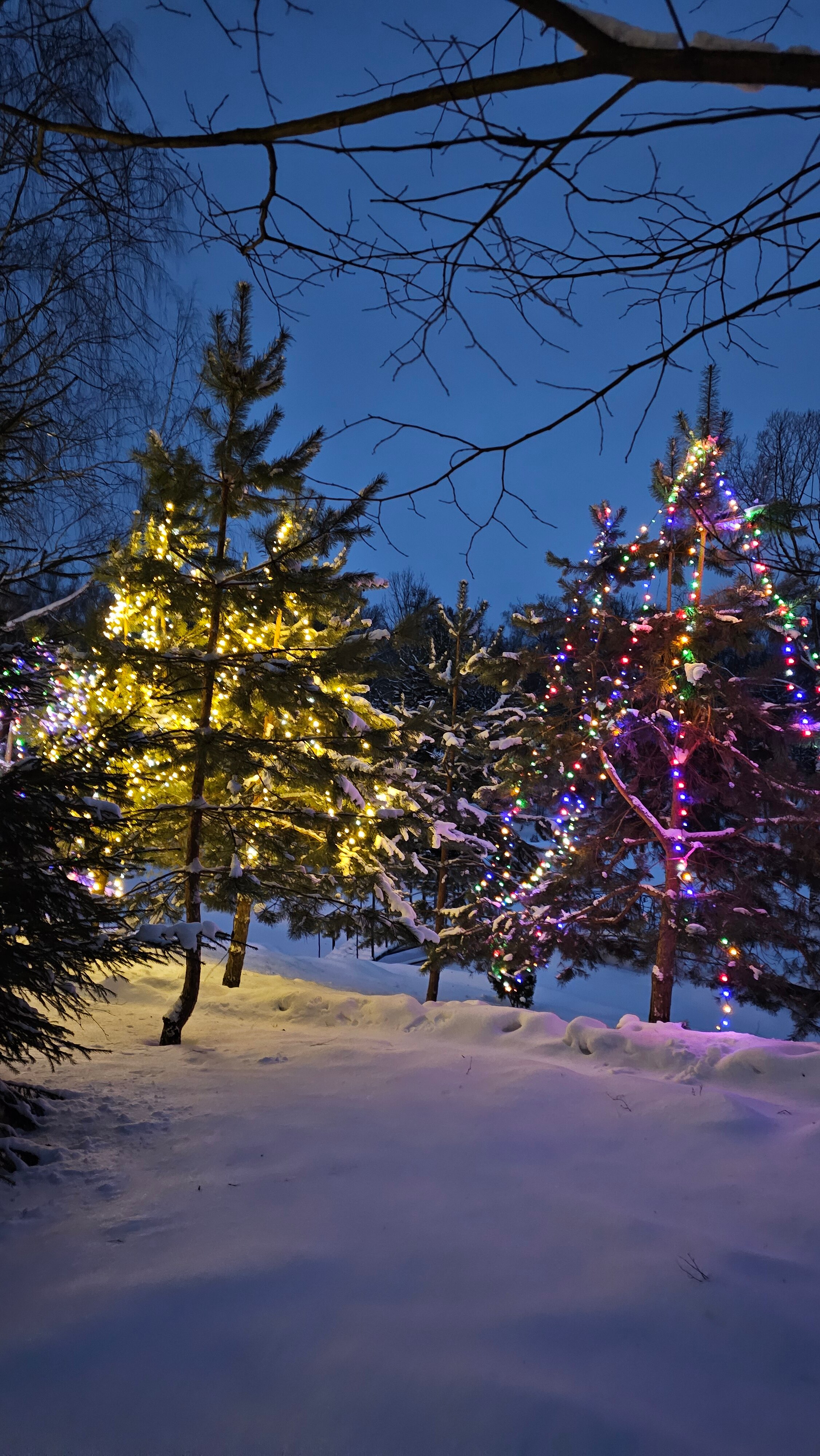 Фото Indie House