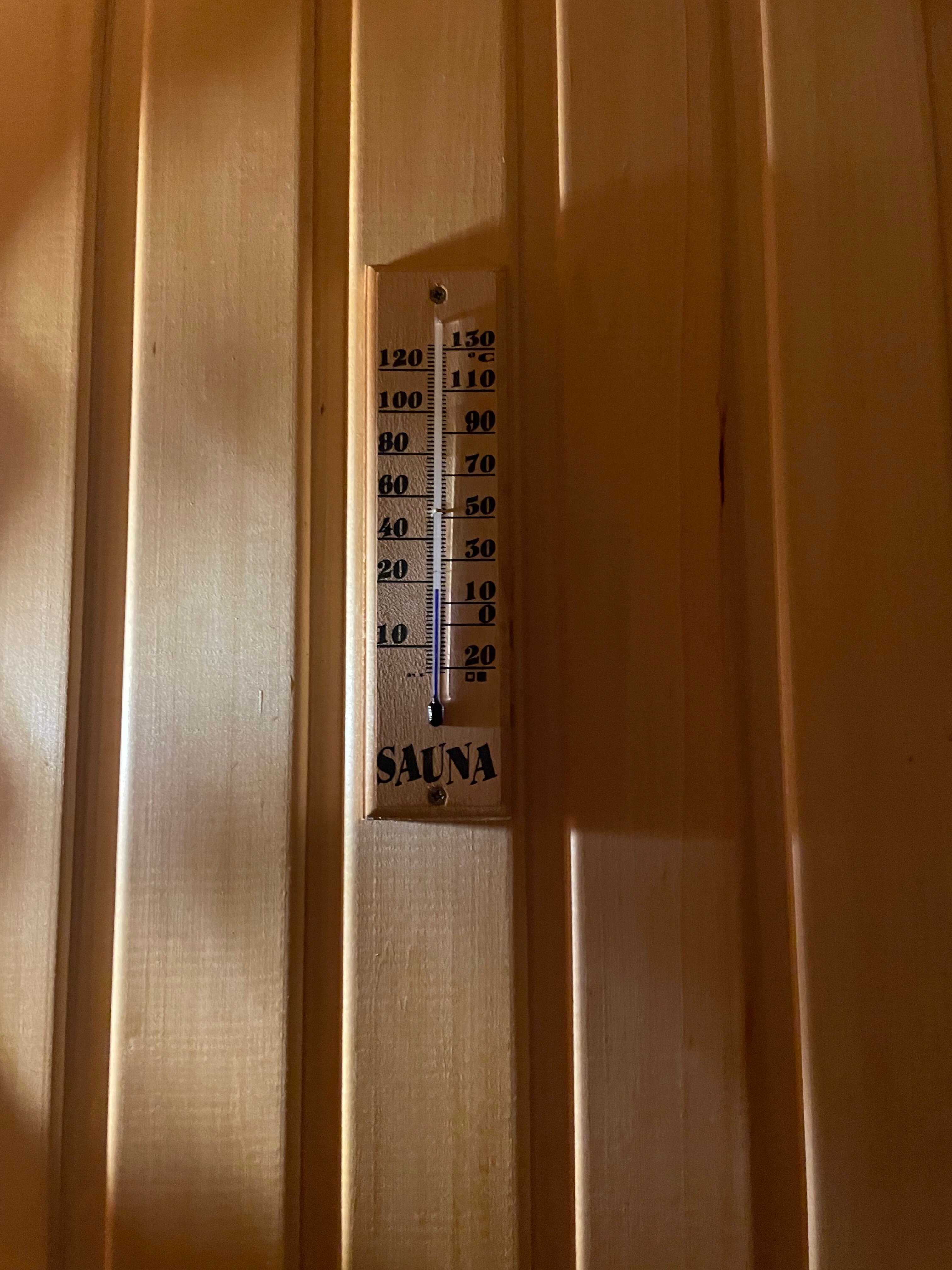 Фото Берёзовая роща