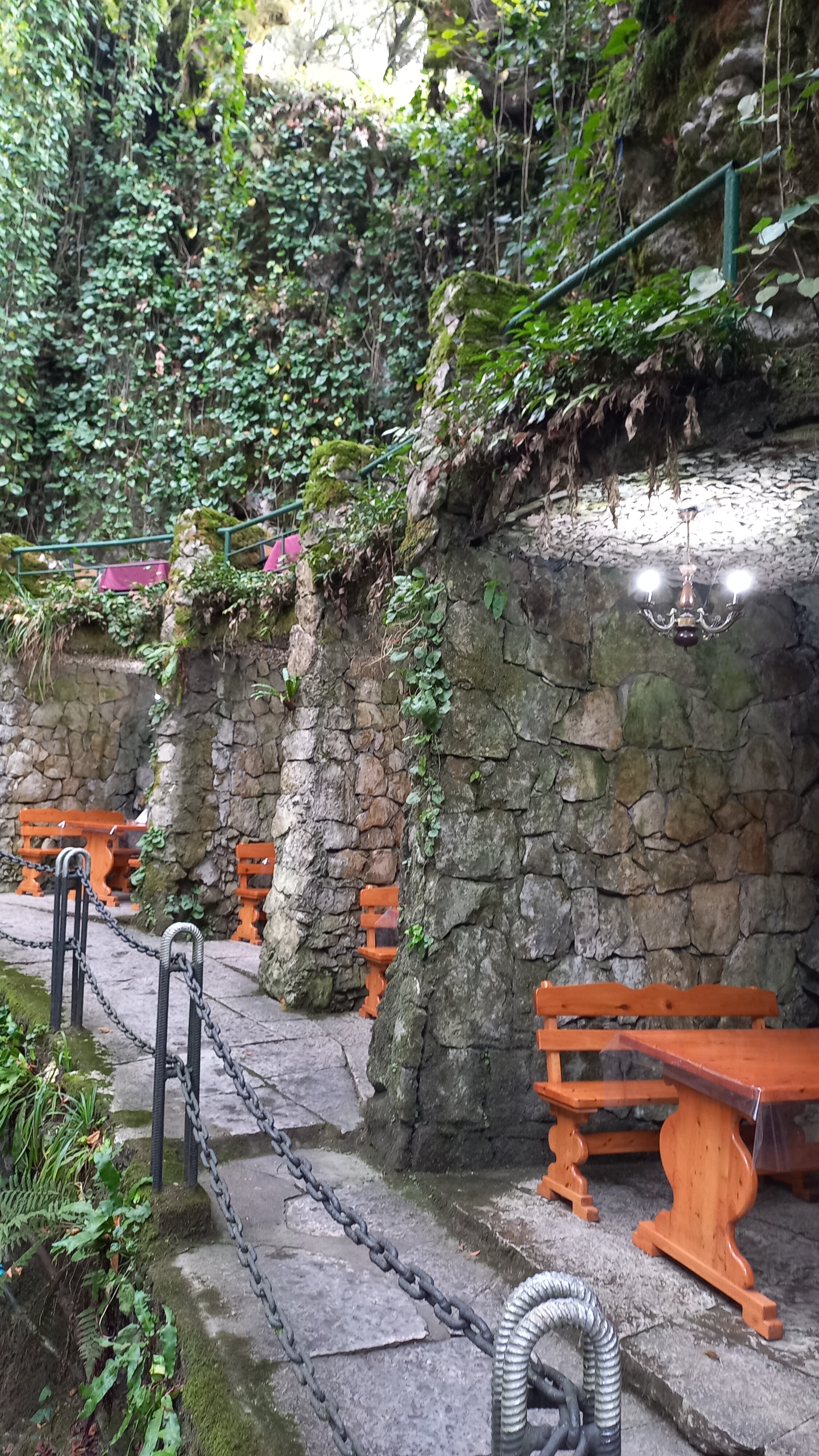 Фото Светлана