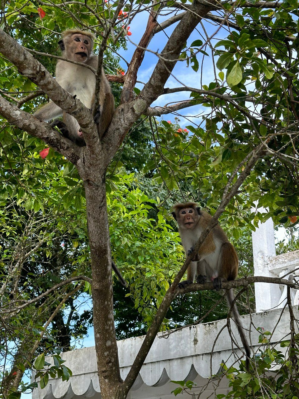 Фото Coral Sands Hotel