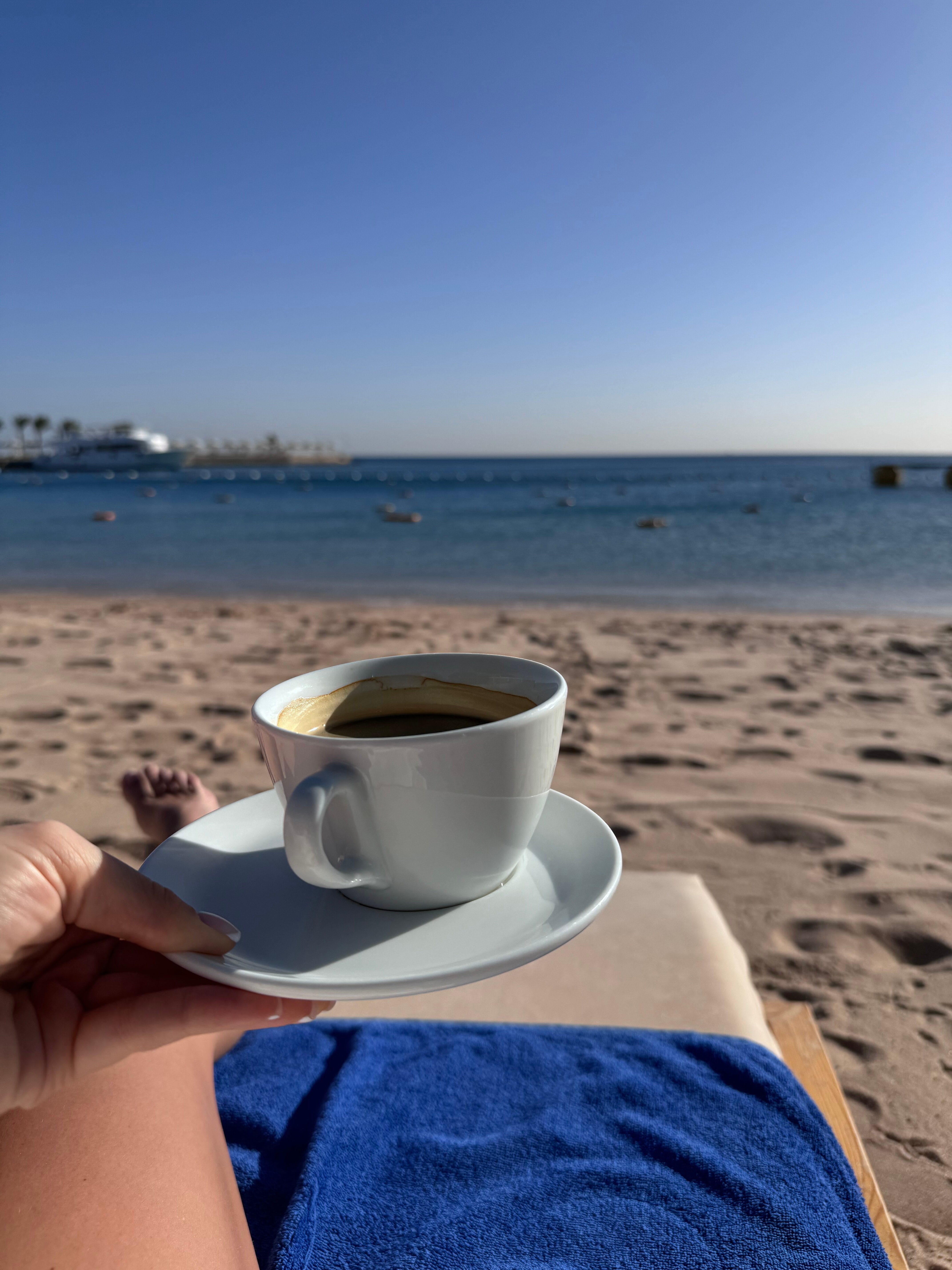 Фото Бич Альбатрос Резорт