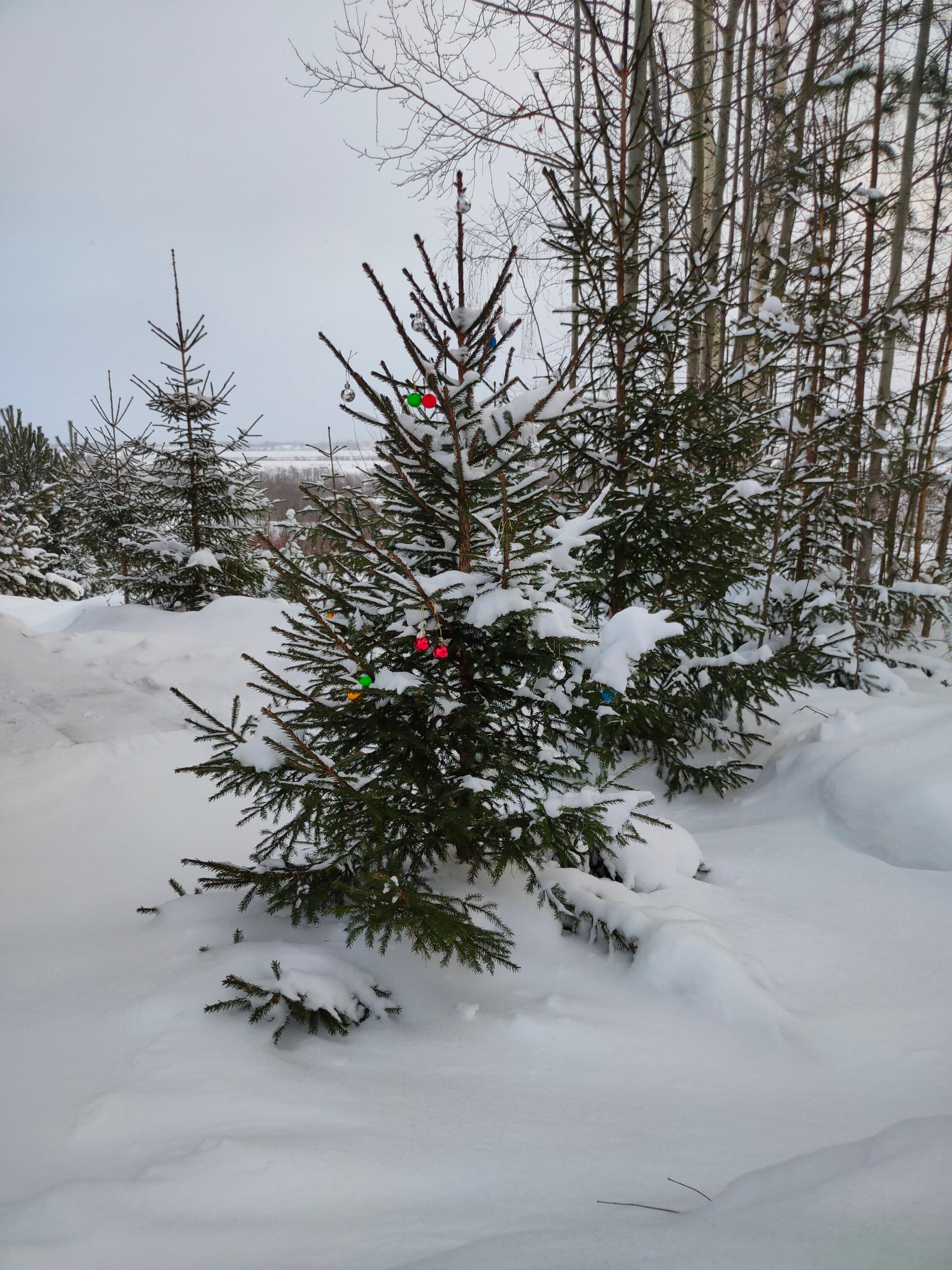 Фото Каликина гора
