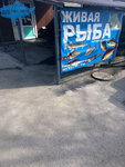Живая рыба (posyolok Terek, Shkolnaya ulitsa, 8/1), grocery