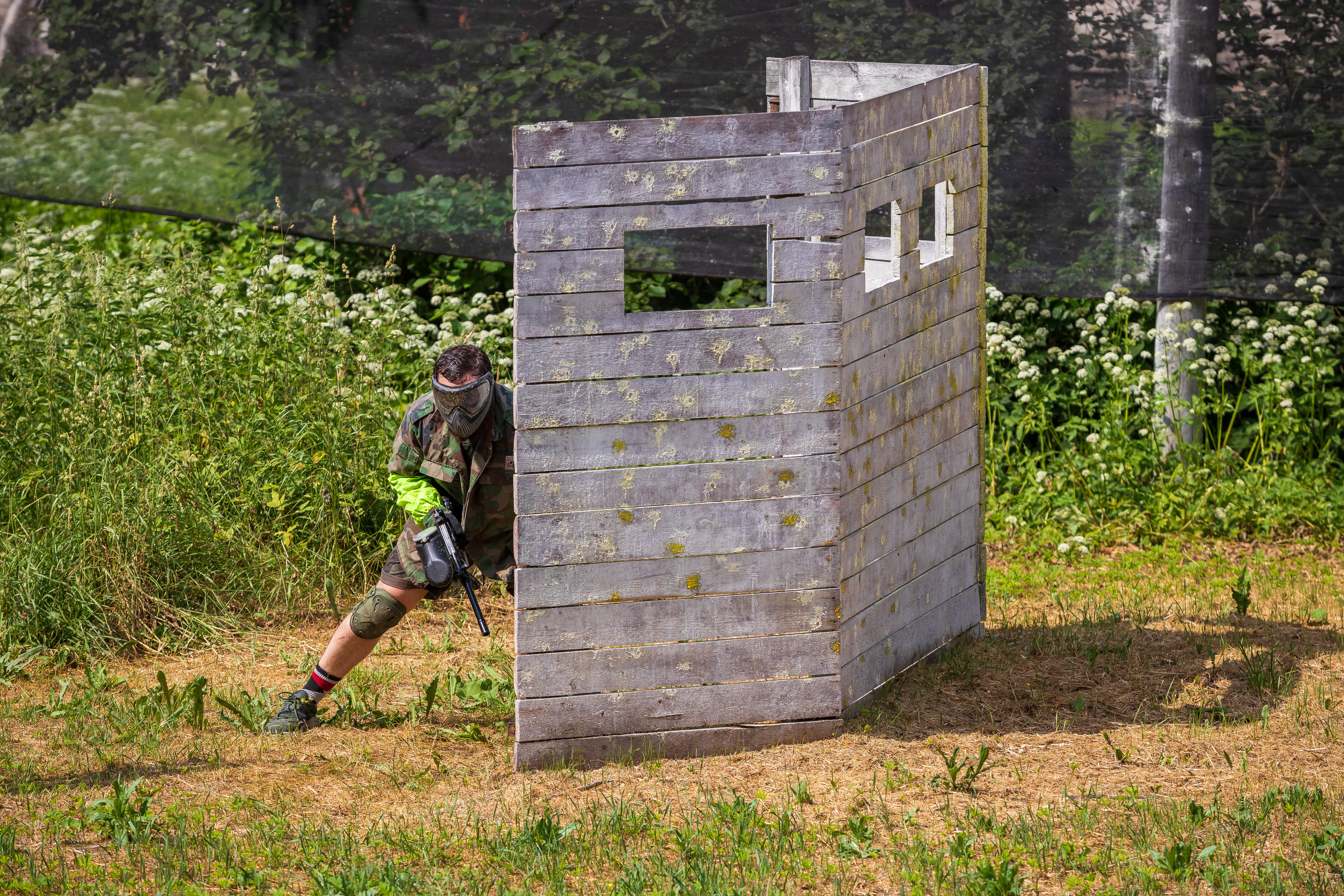 Фото Лосево Парк