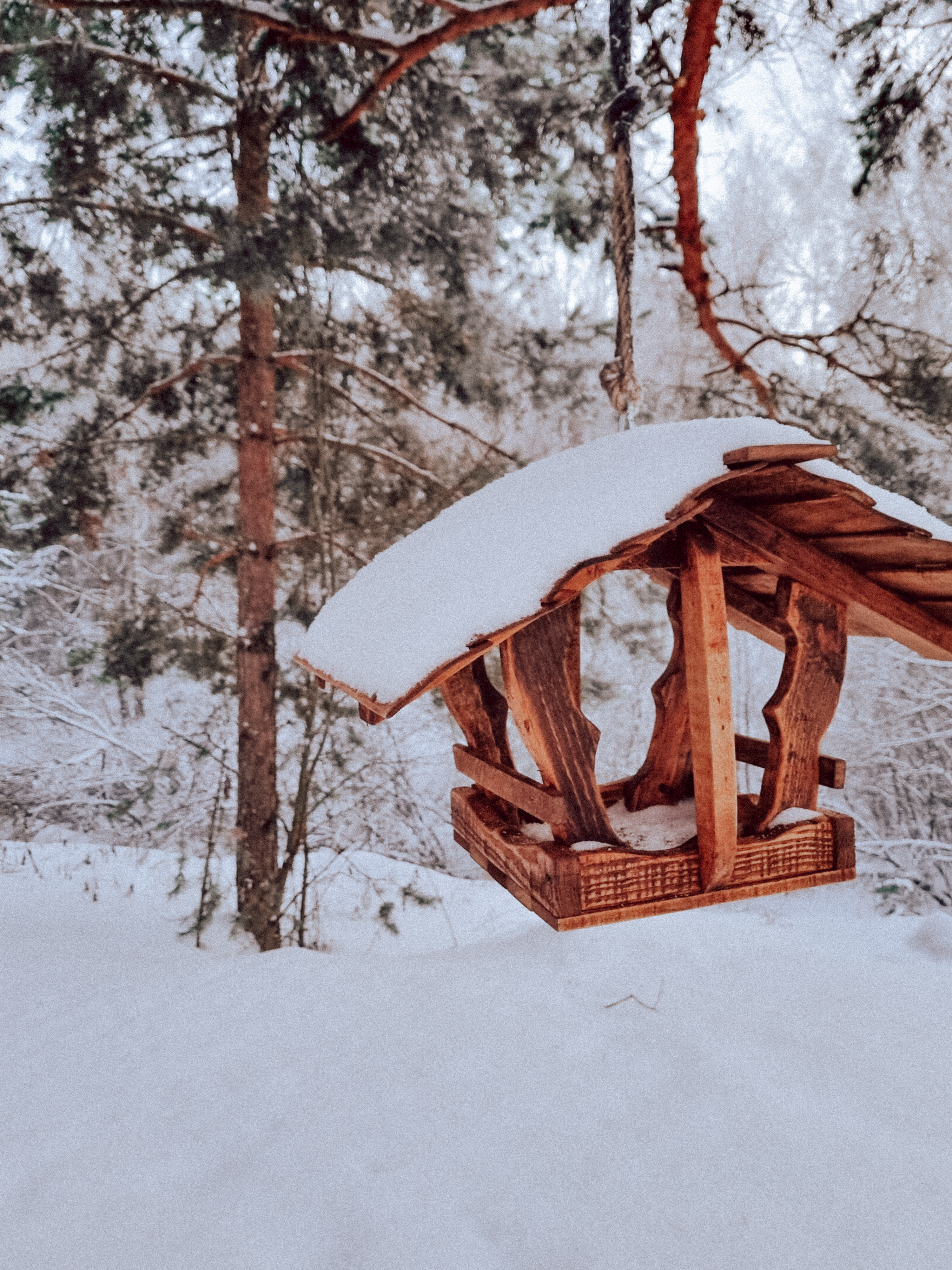 Фото Комфорт хаус Арзамас