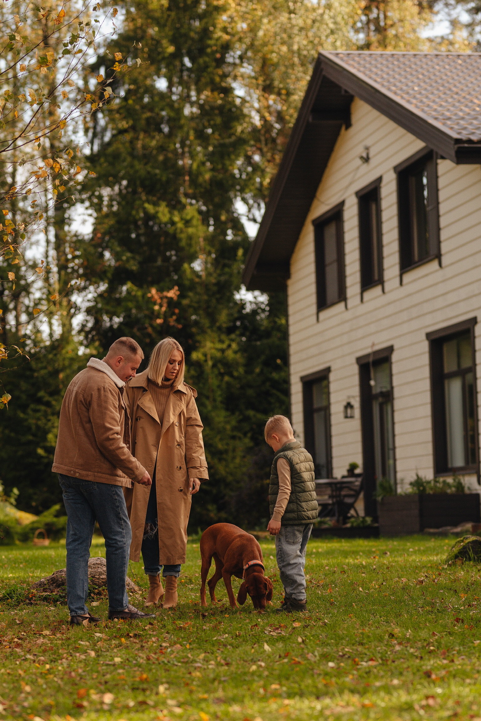 Фото Волшебный лес