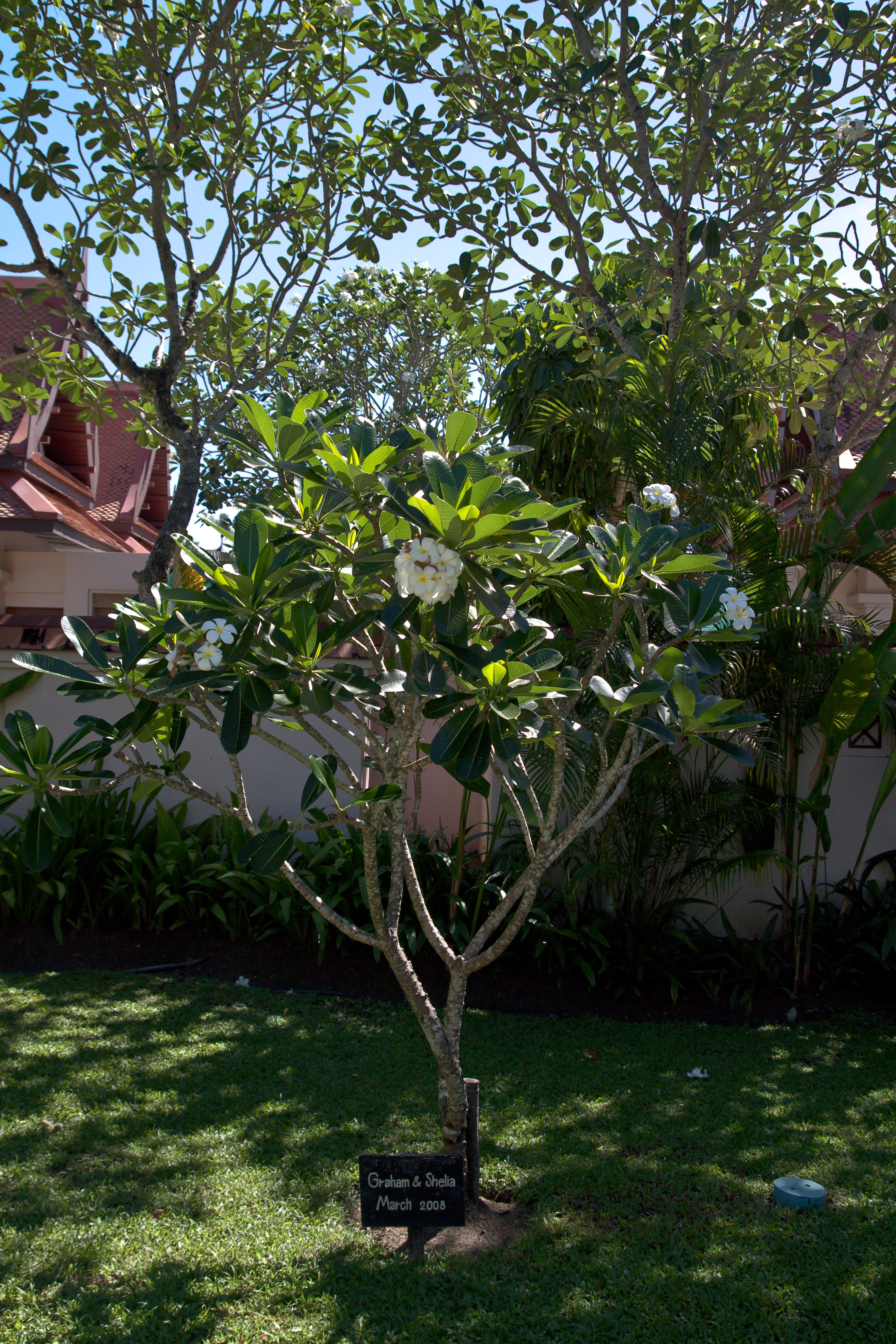 Фото Banyan Tree Phuket Hotel