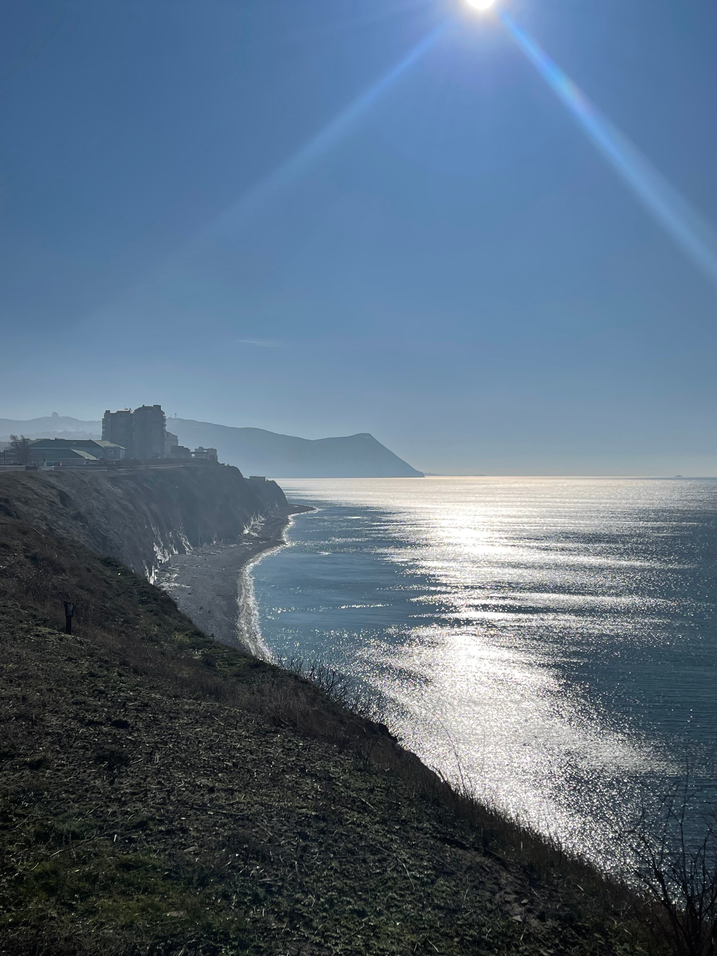 Фото Альбатрос