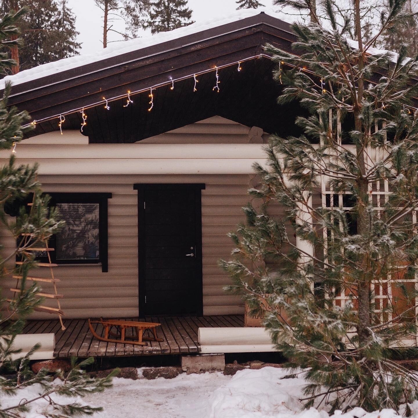 Фото Волшебный лес