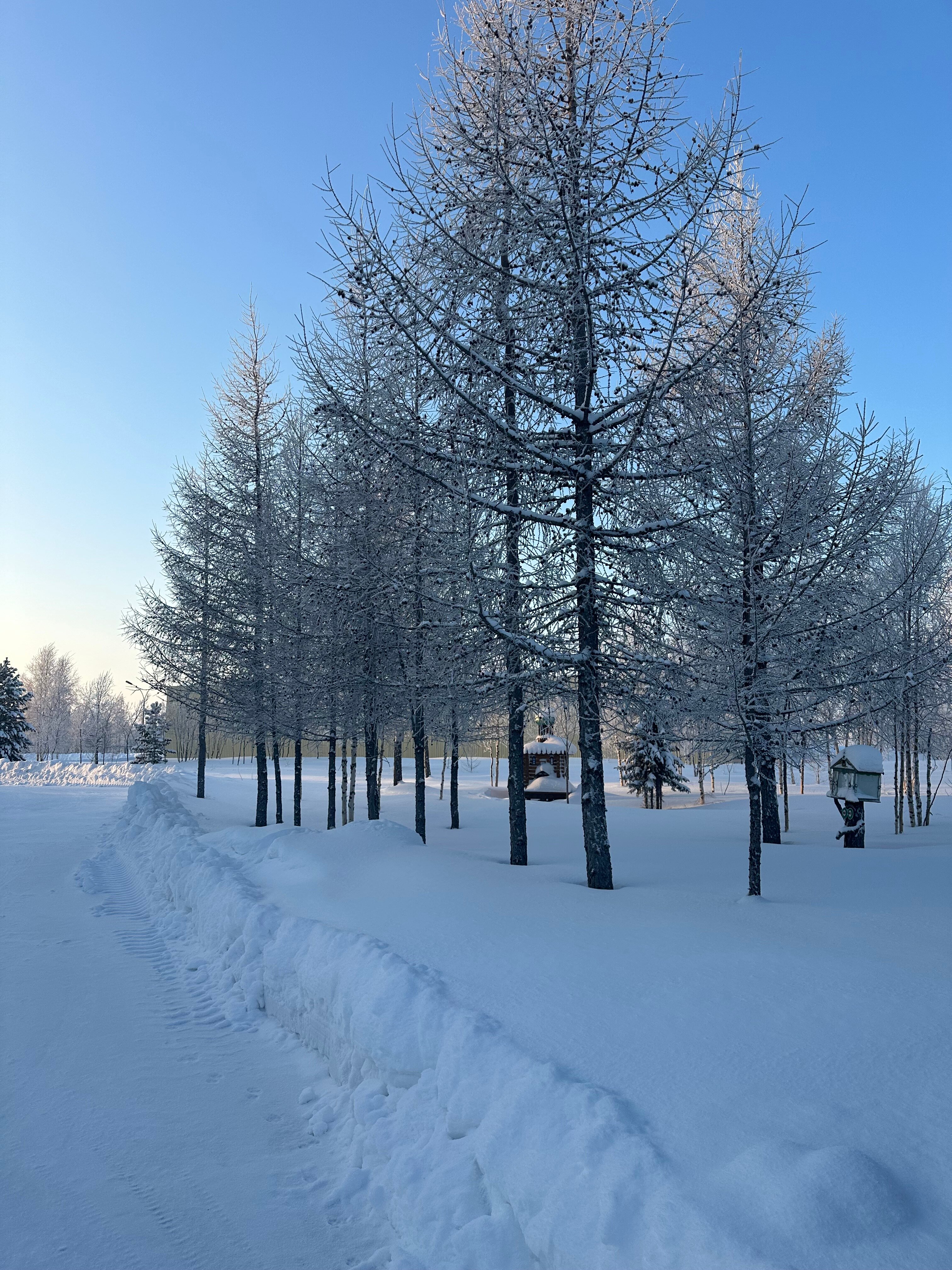 Фото Газовик