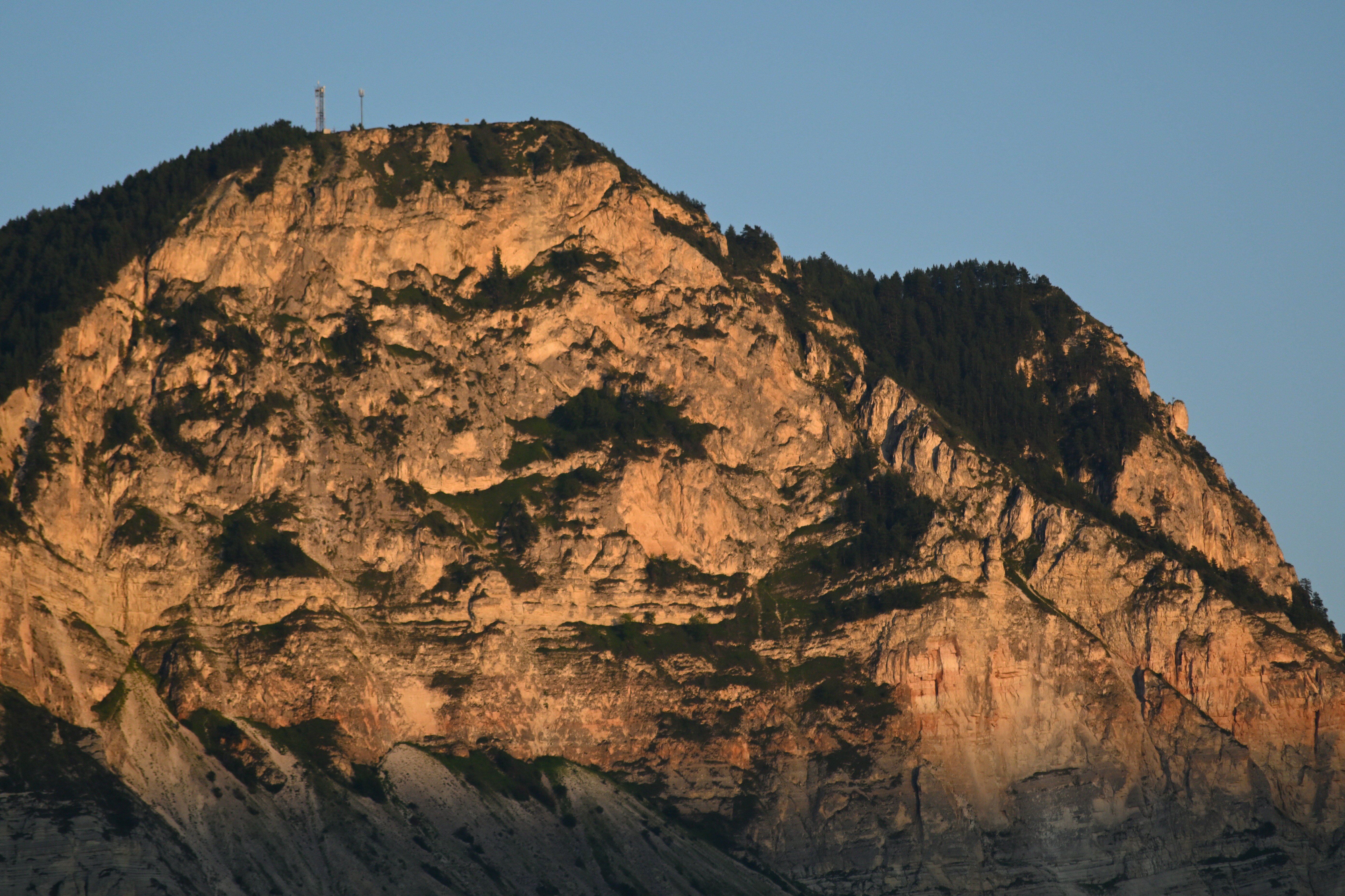 Фото Родное гнездо