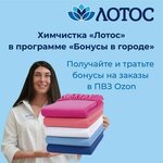 Lotos (Novaya Basmannaya Street, 31с1), dry cleaning
