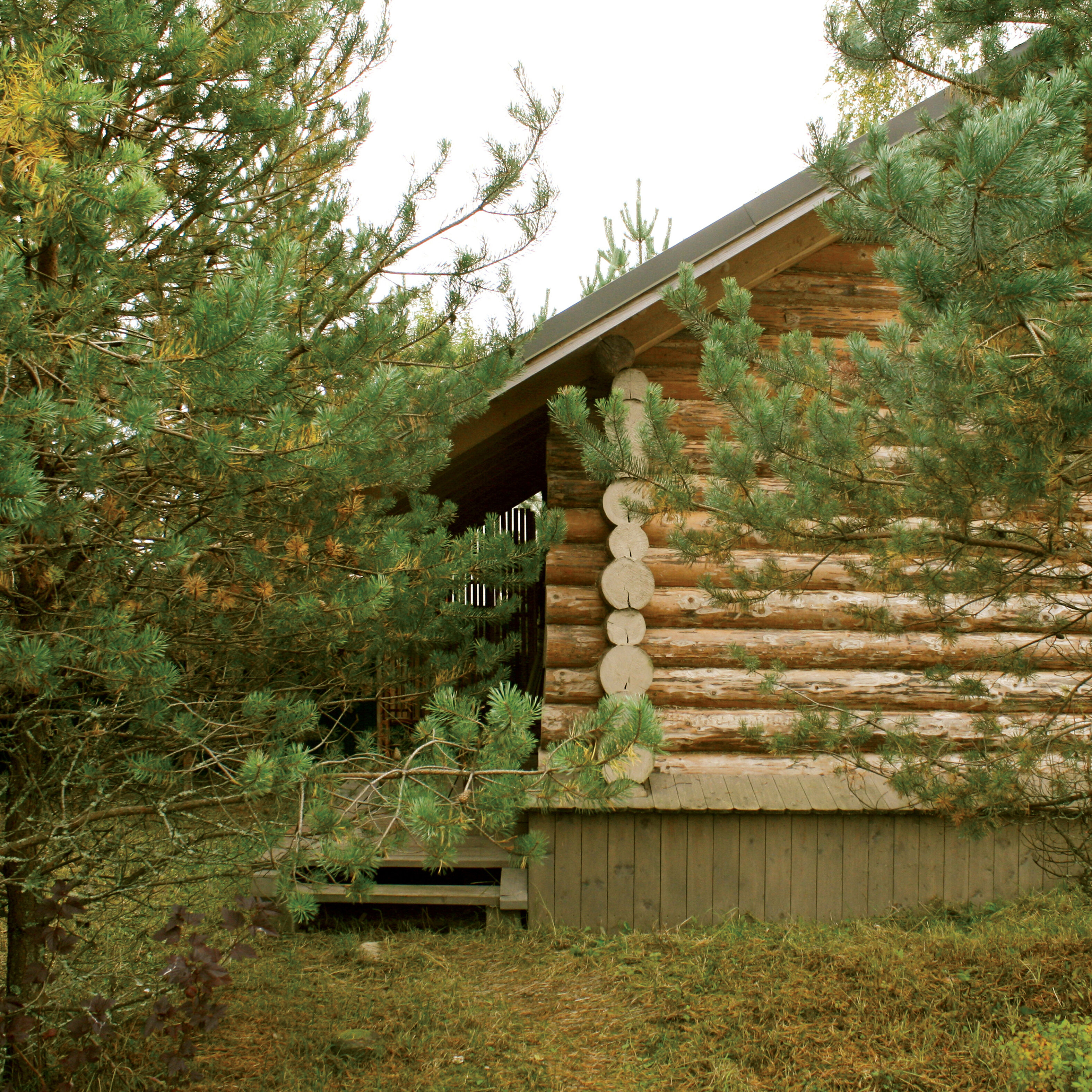 Фото Валдайские дачи