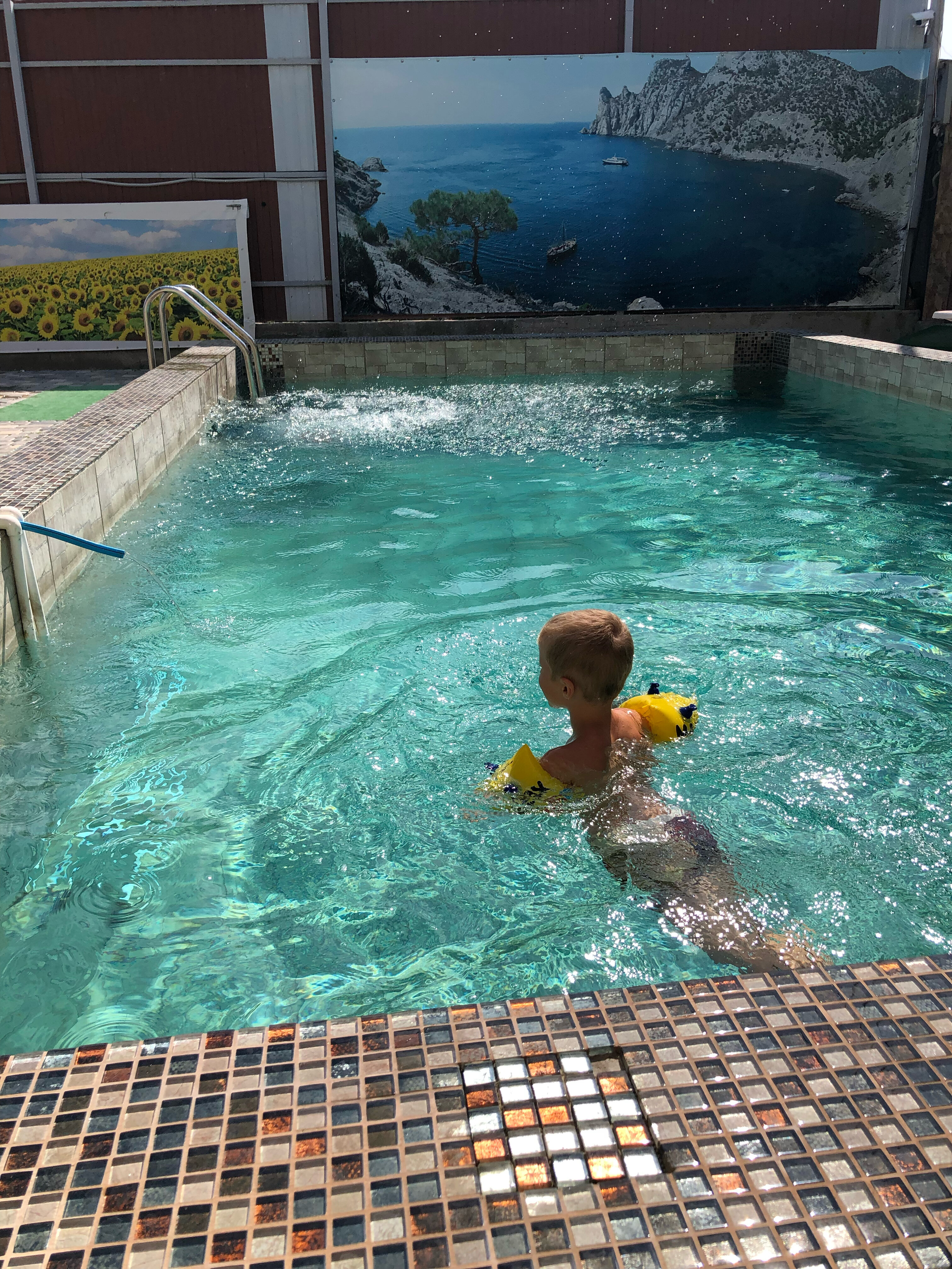 Фото Барракуда