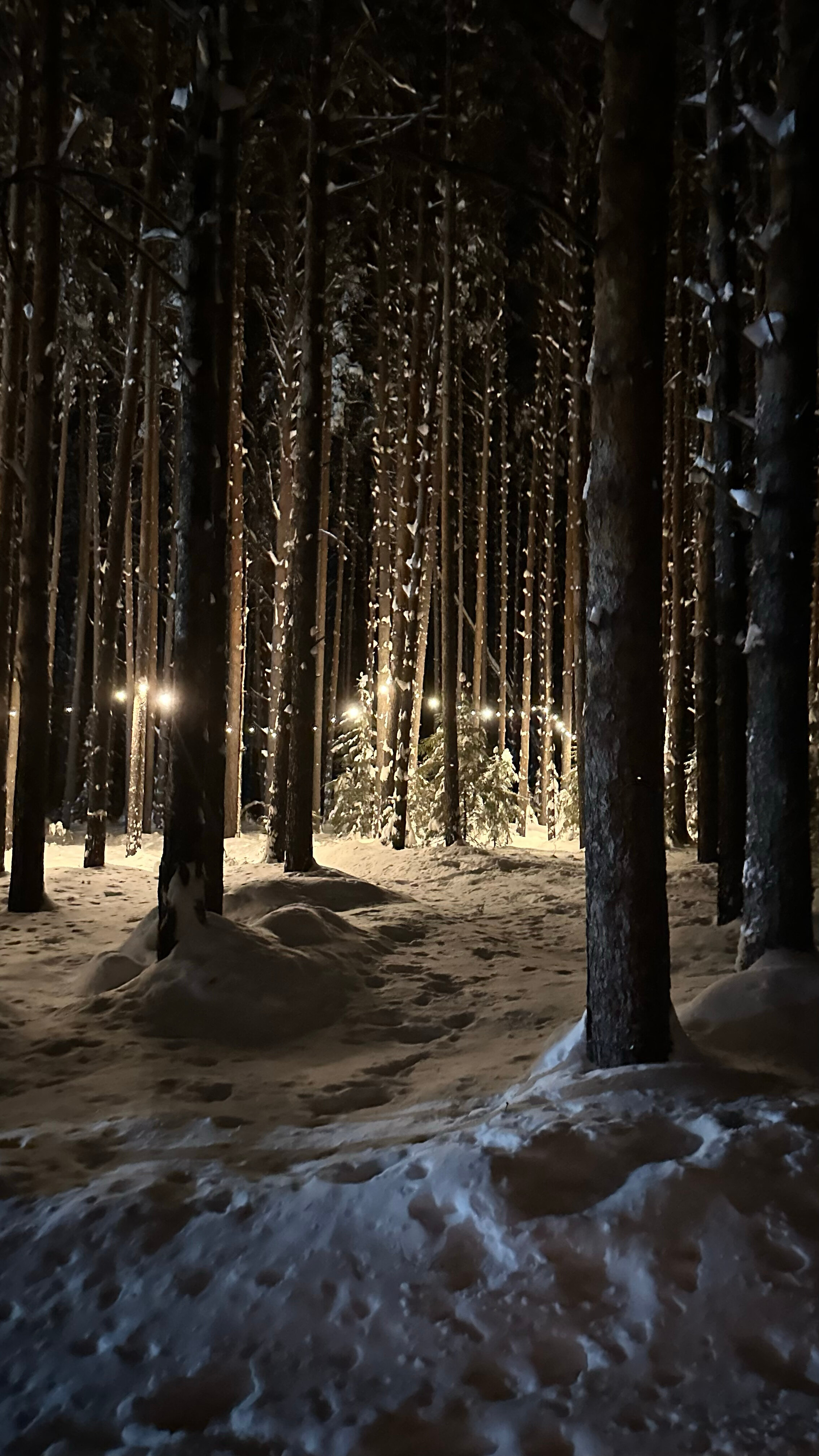 Фото Липкиглэмп