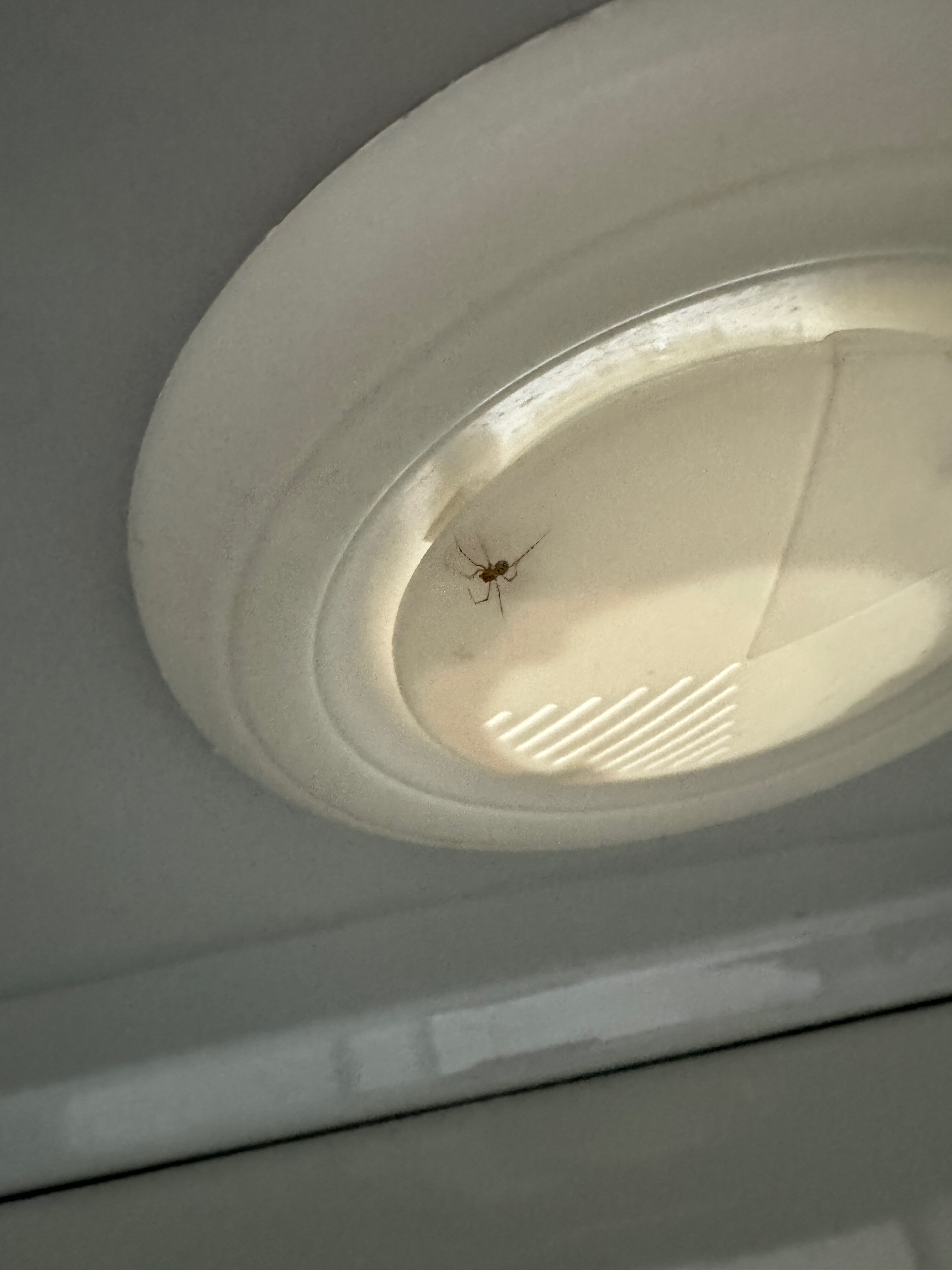 Фото ГрандОтель