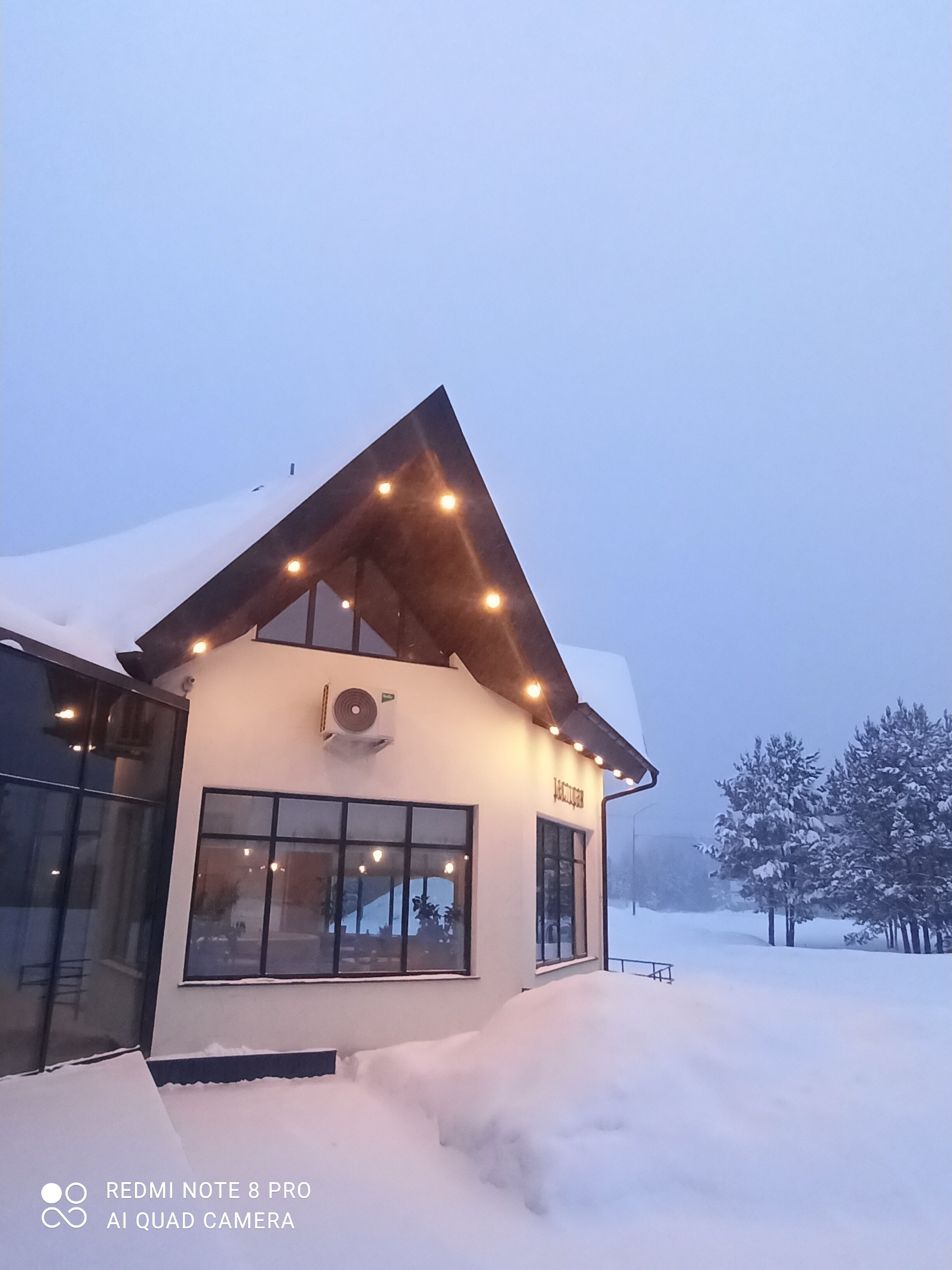 Фото Клевер