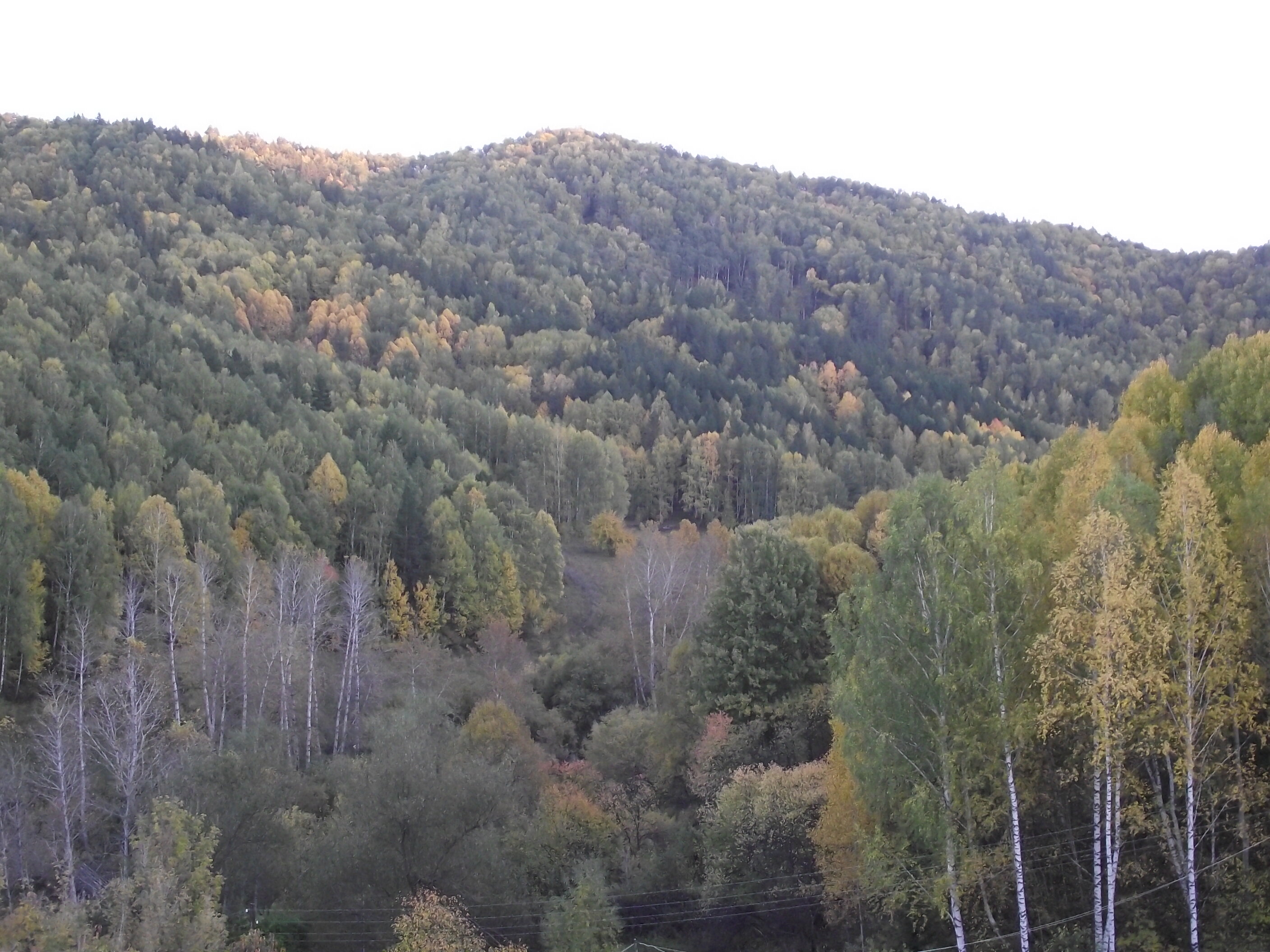 Фото Тихий Лог