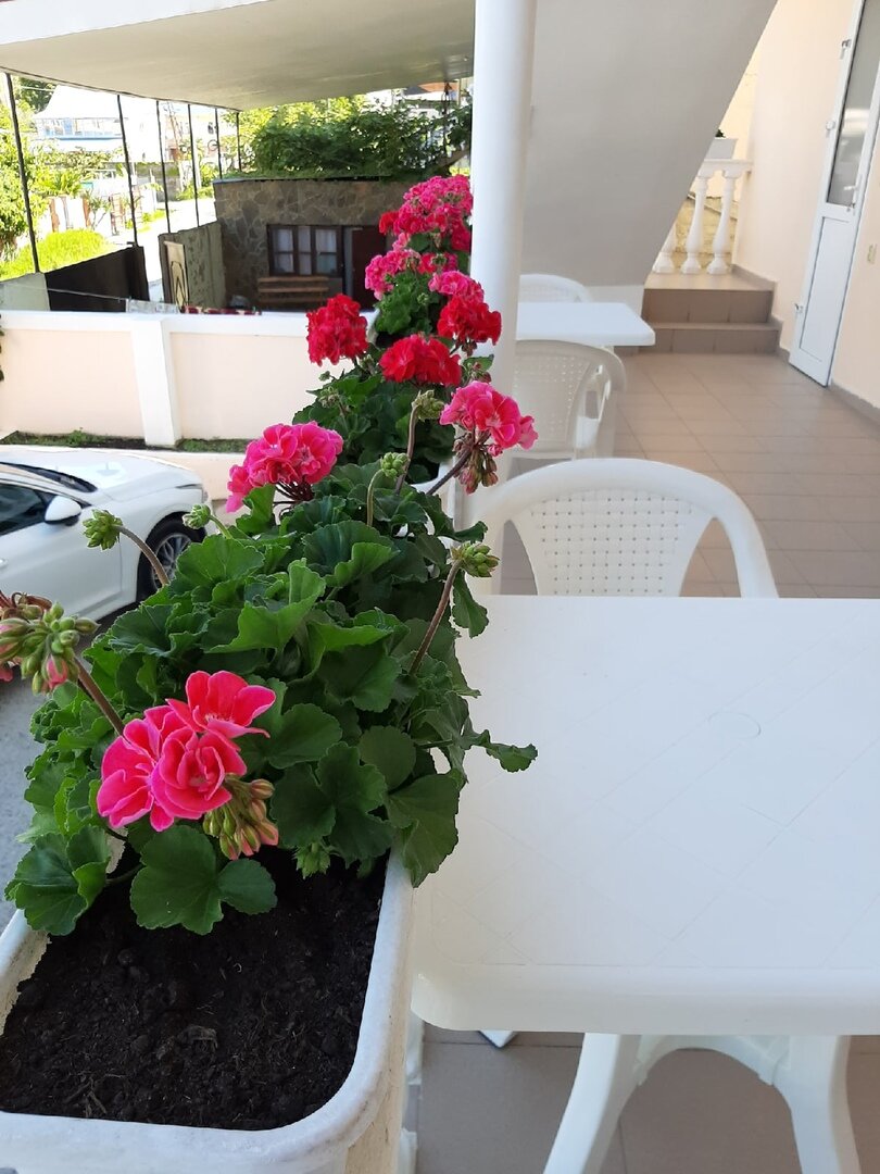 Фото У Гульнары в Вардане