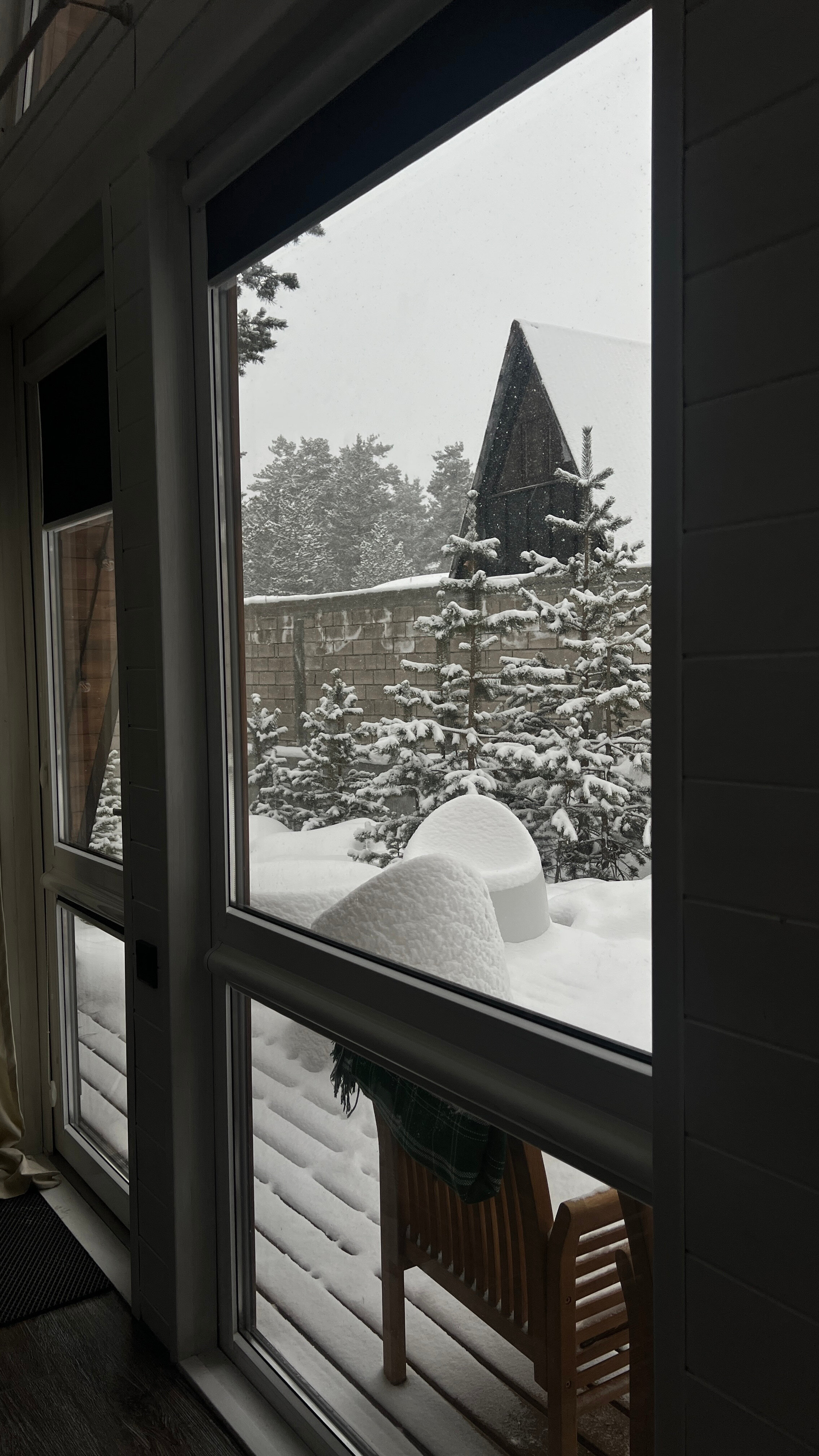 Фото Pine Wood Elbrus