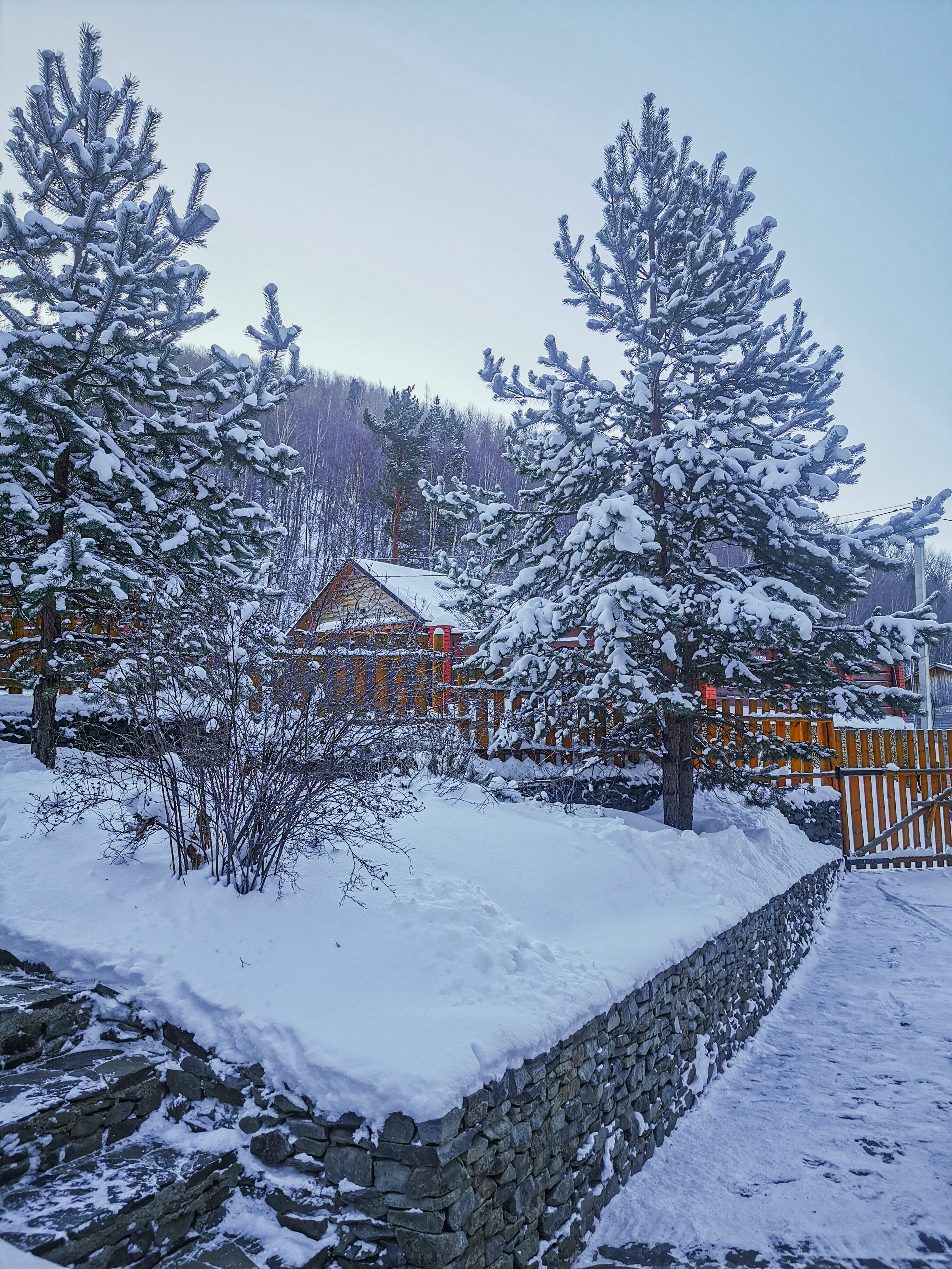 Фото Forest trail