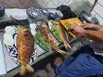 Shashlik and Fish (Quyoshli shaharchasi, 8) ، مقهى