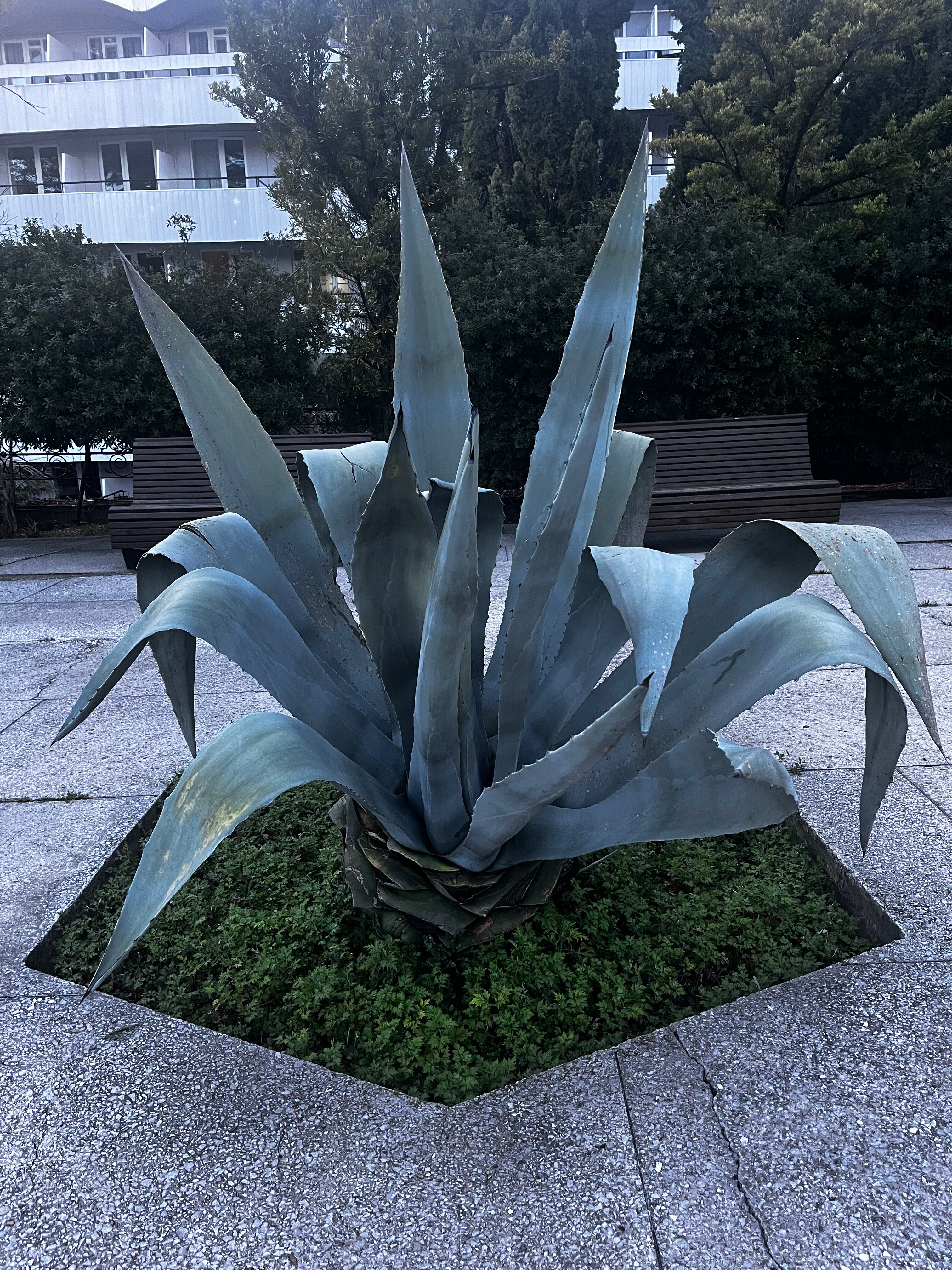 Фото Тихий Дон