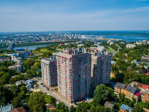 Тек мысықтар