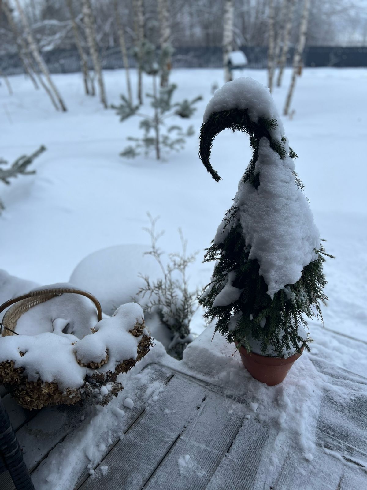 Фото Fraubu. camp