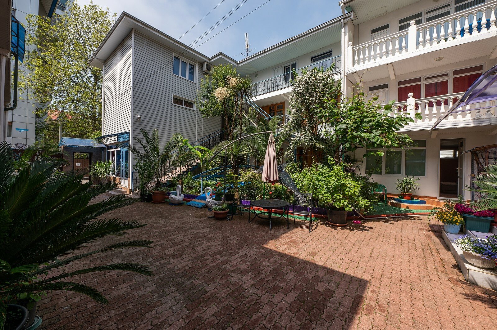 Фото Оазис Надежды