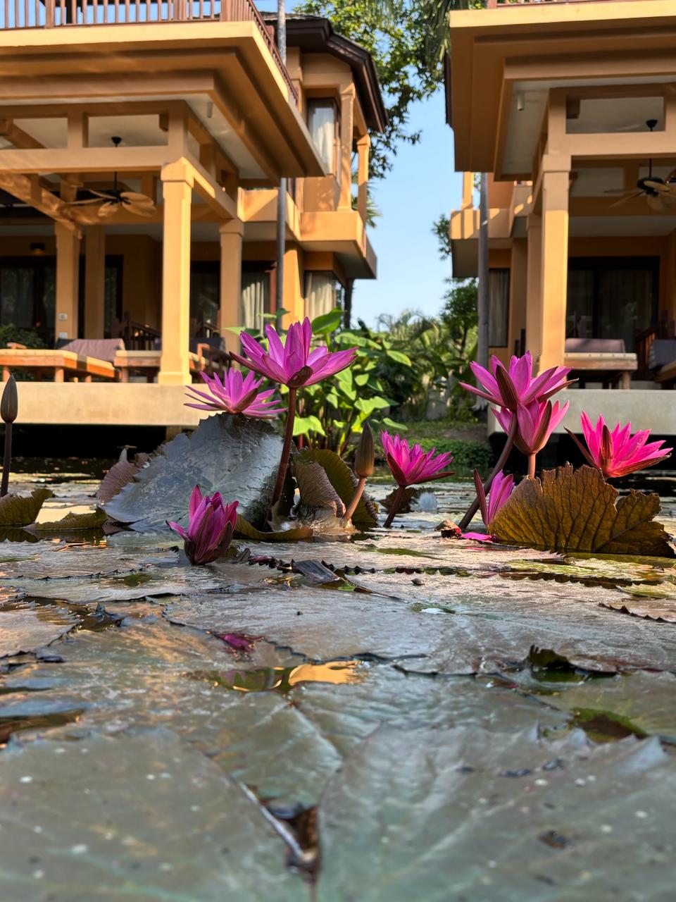 Фото Movenpick Asara Resort & SPA Hua Hin