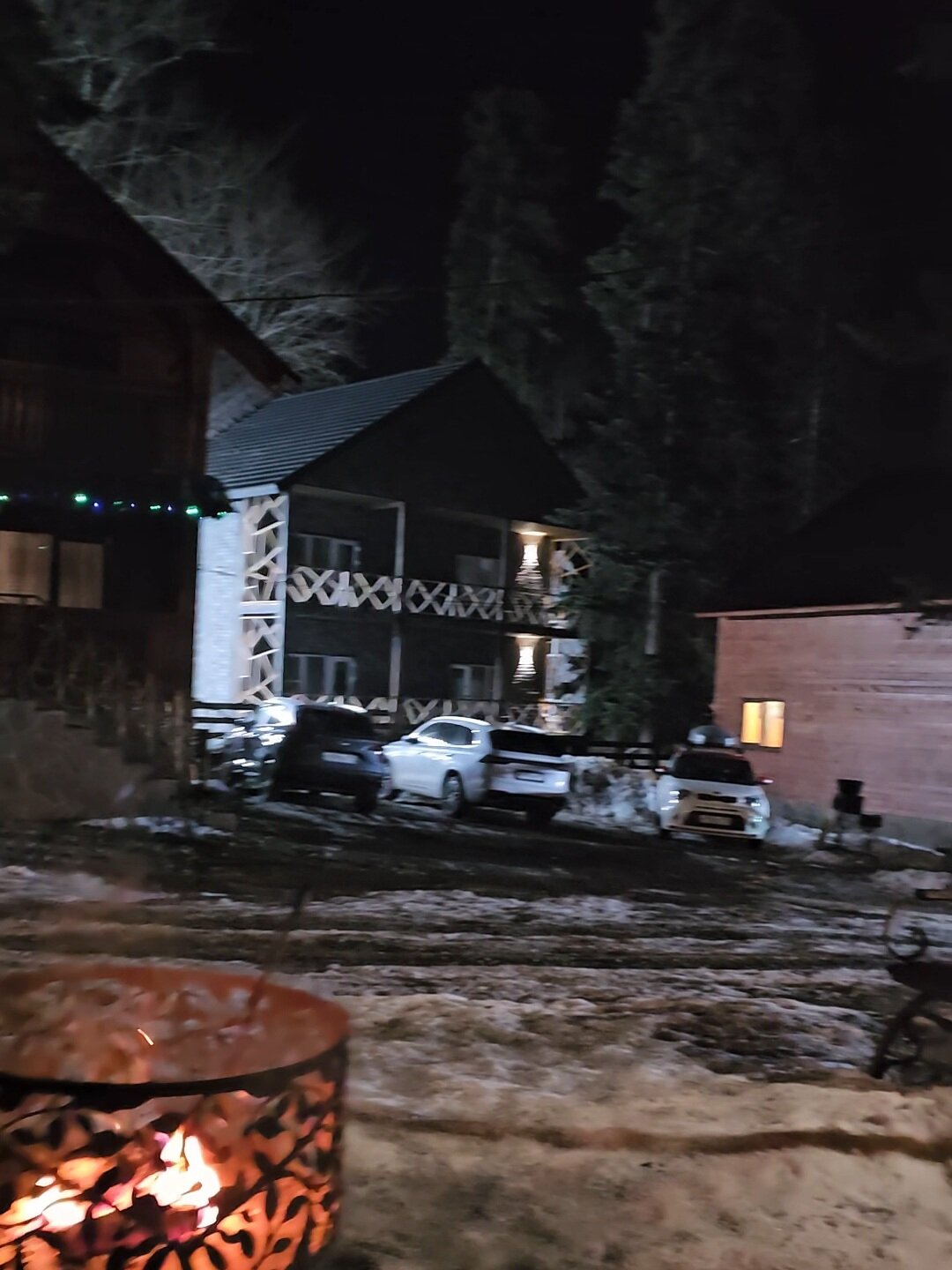 Фото Forest Yard