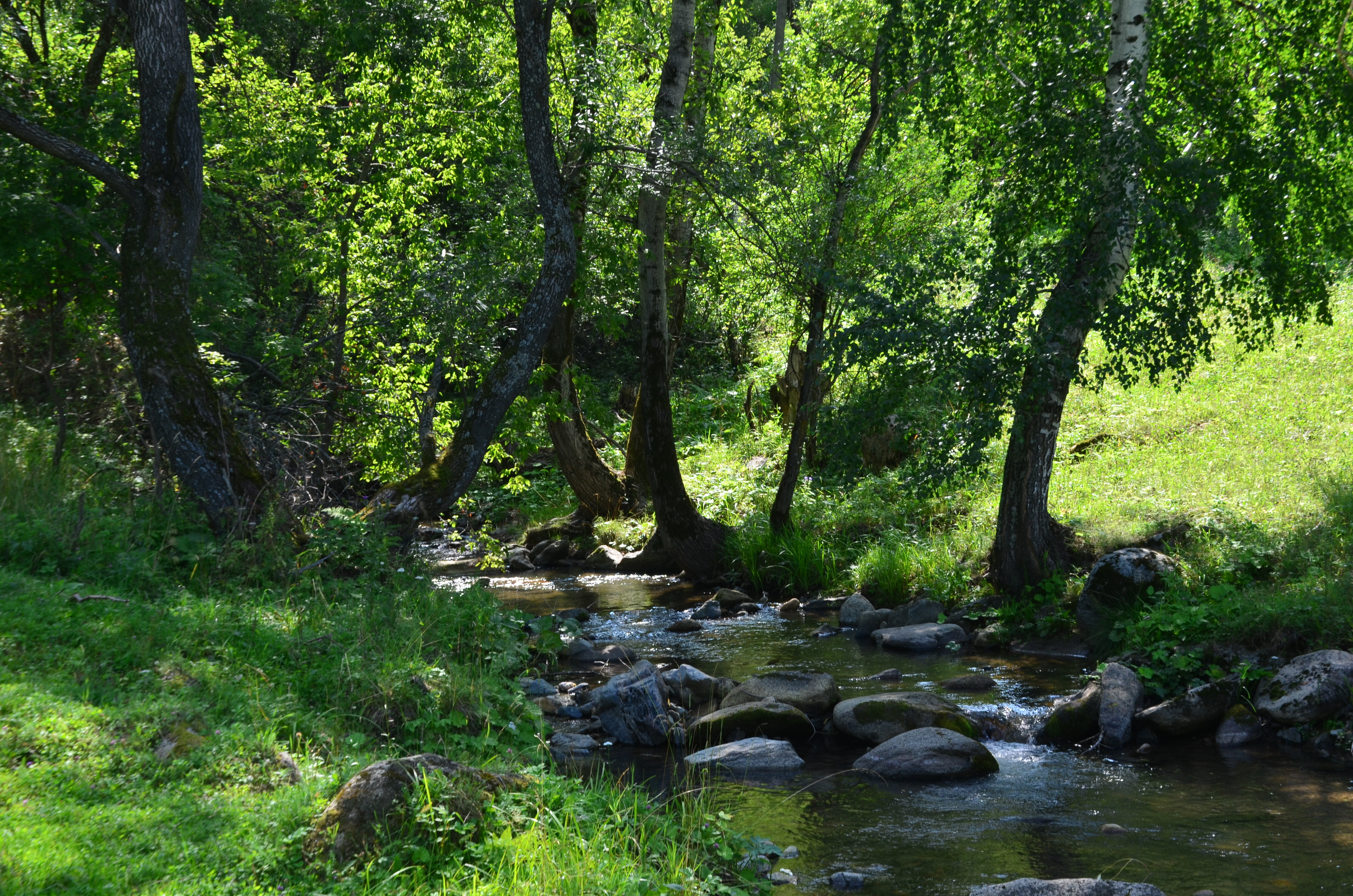 Фото Тихий Лог