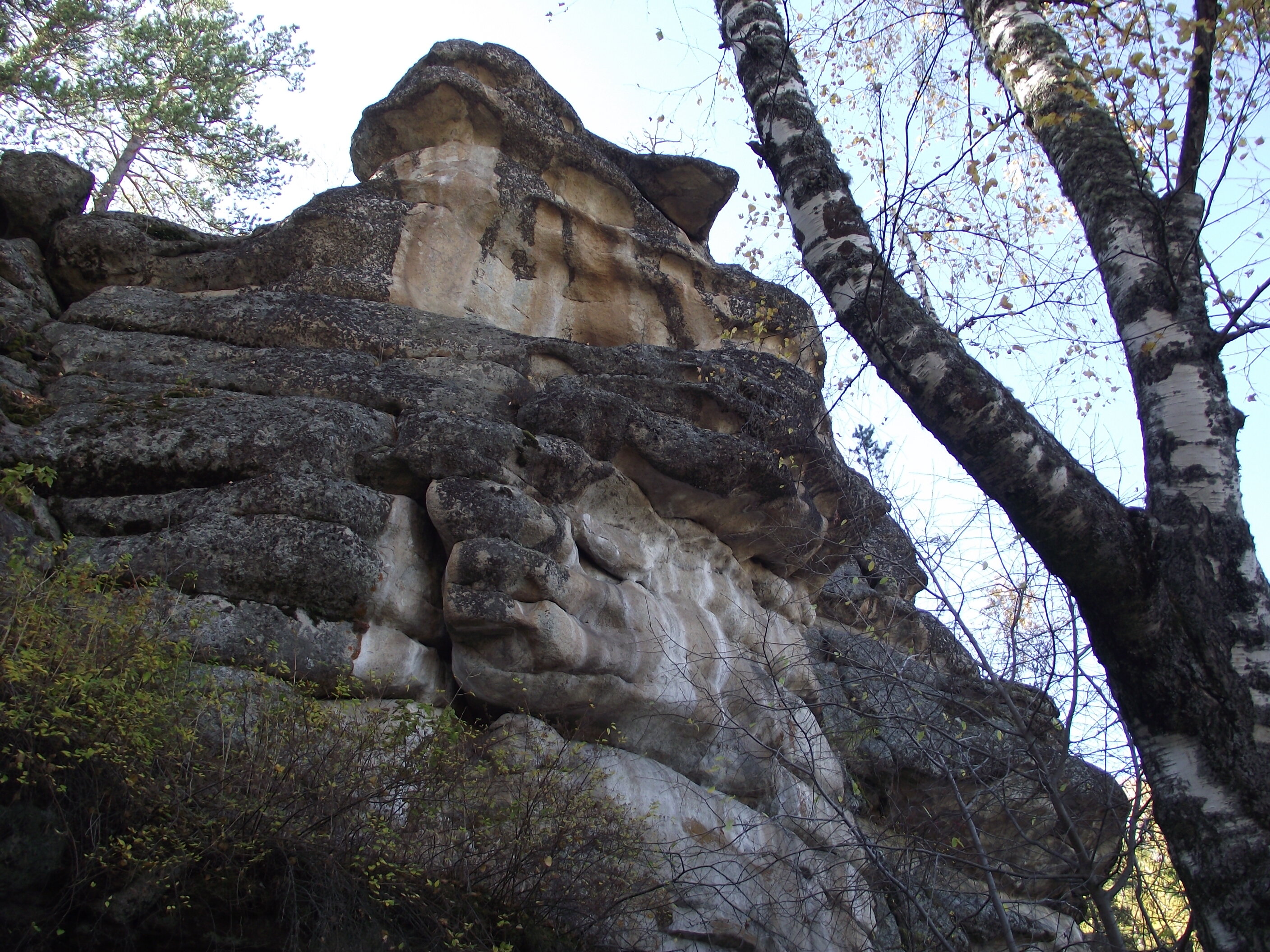 Фото Тихий Лог
