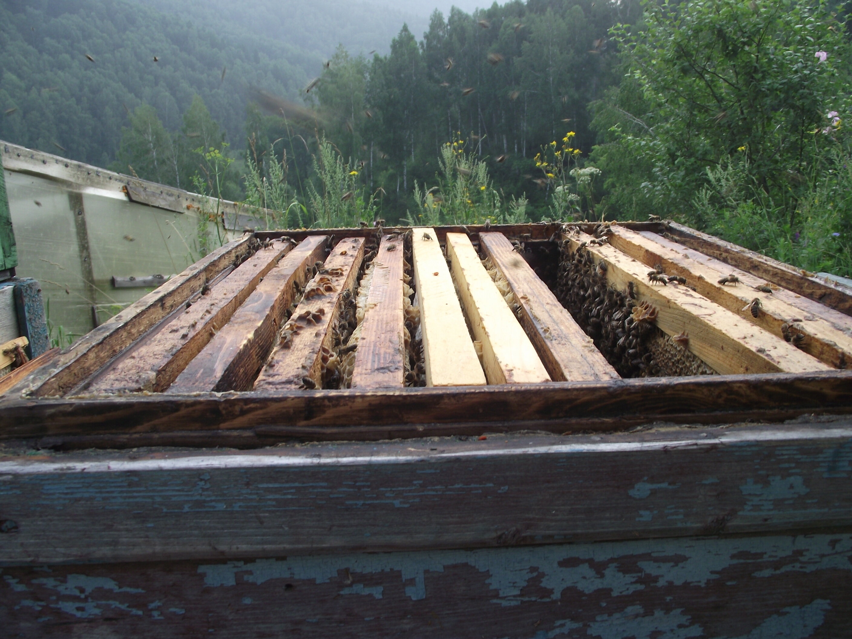 Фото Тихий Лог