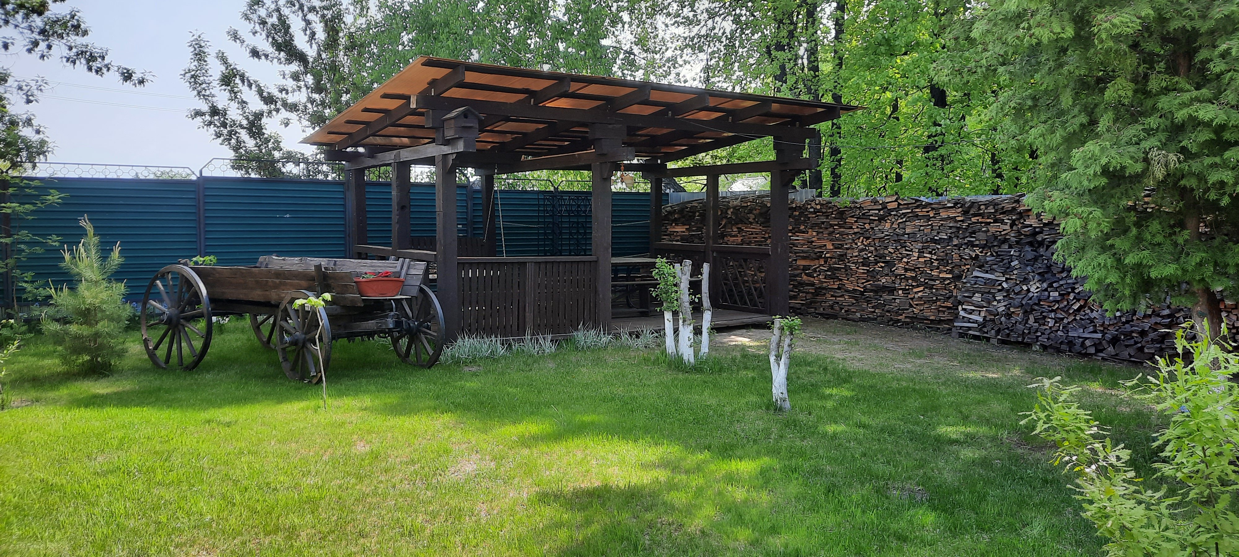 Фото Виктория