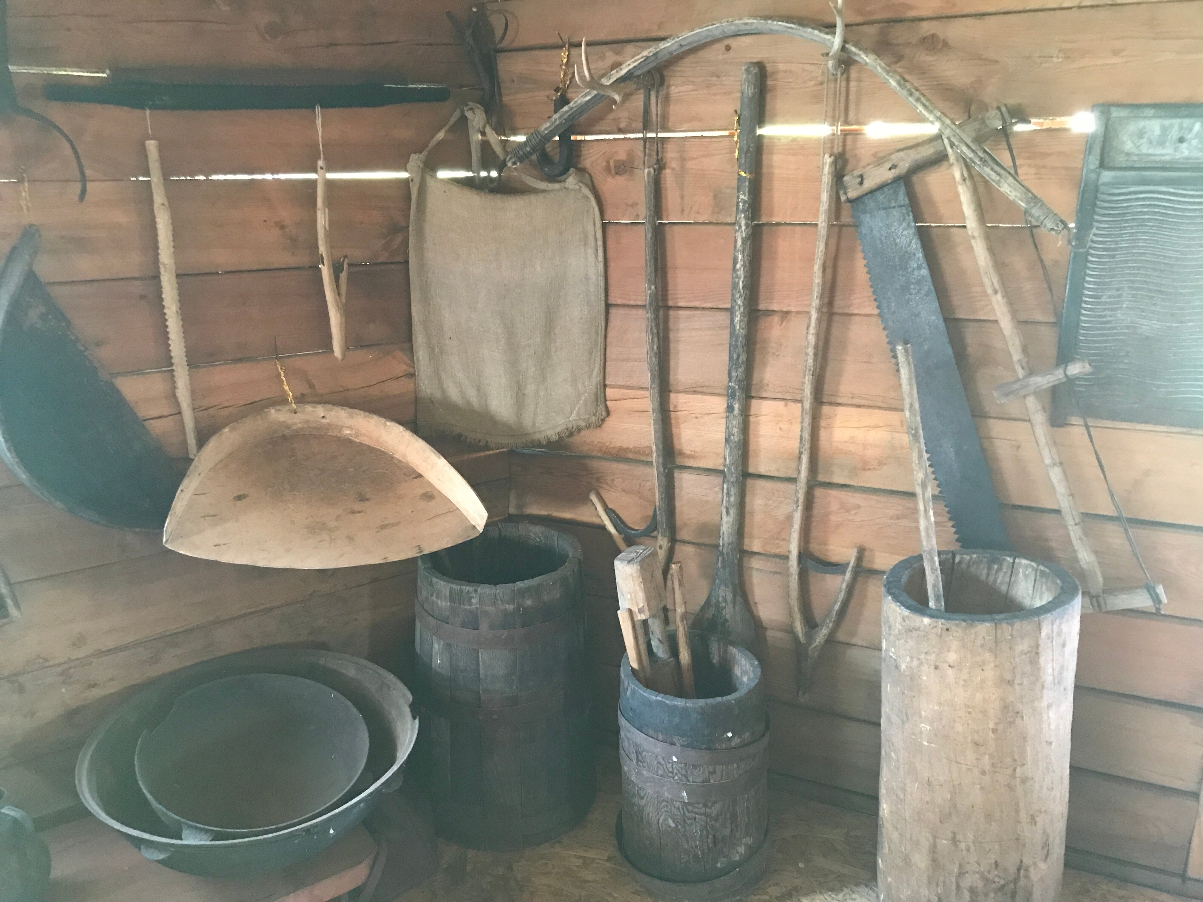 Фото Еловая опушка